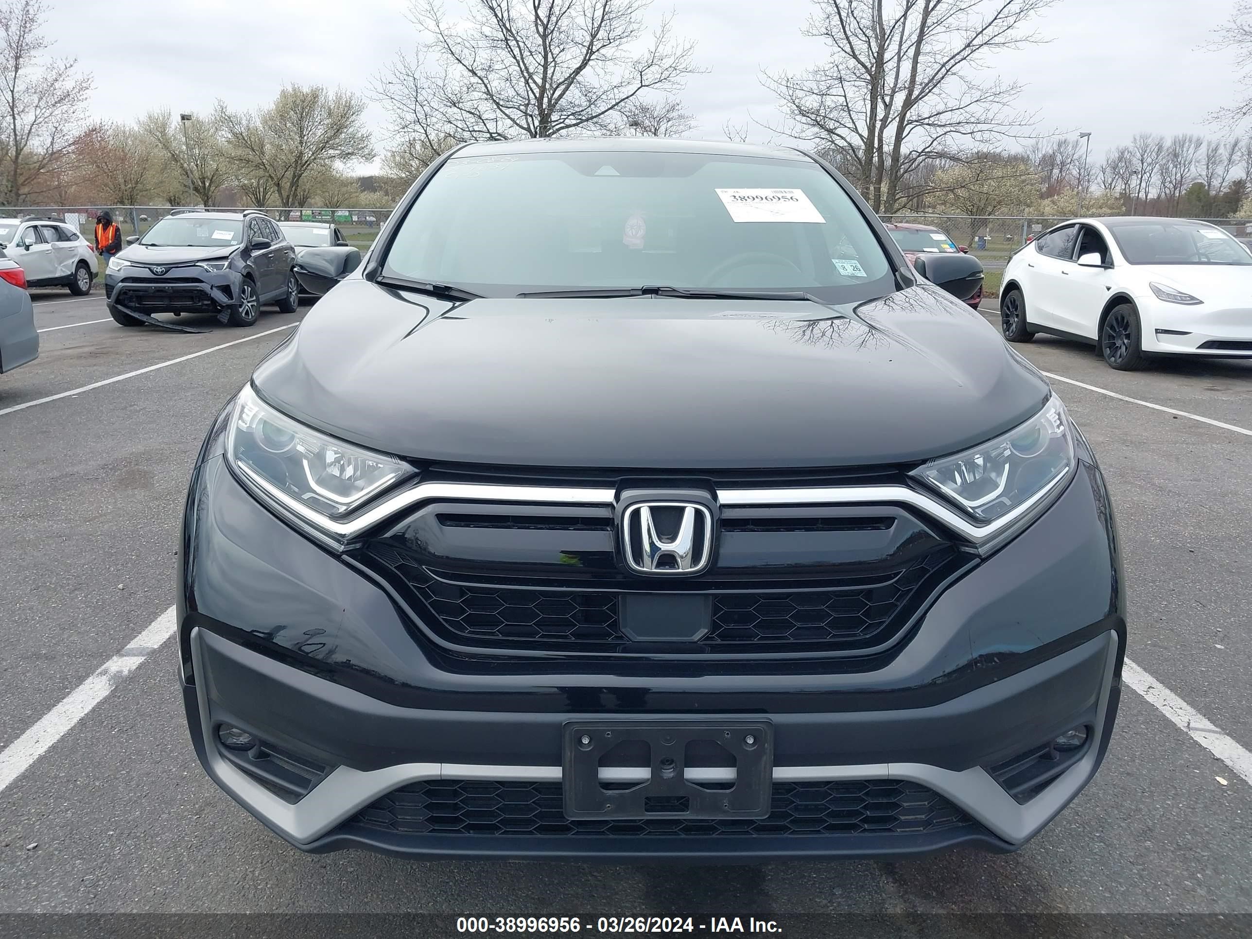 Photo 5 VIN: 2HKRW2H59LH606941 - HONDA CR-V 