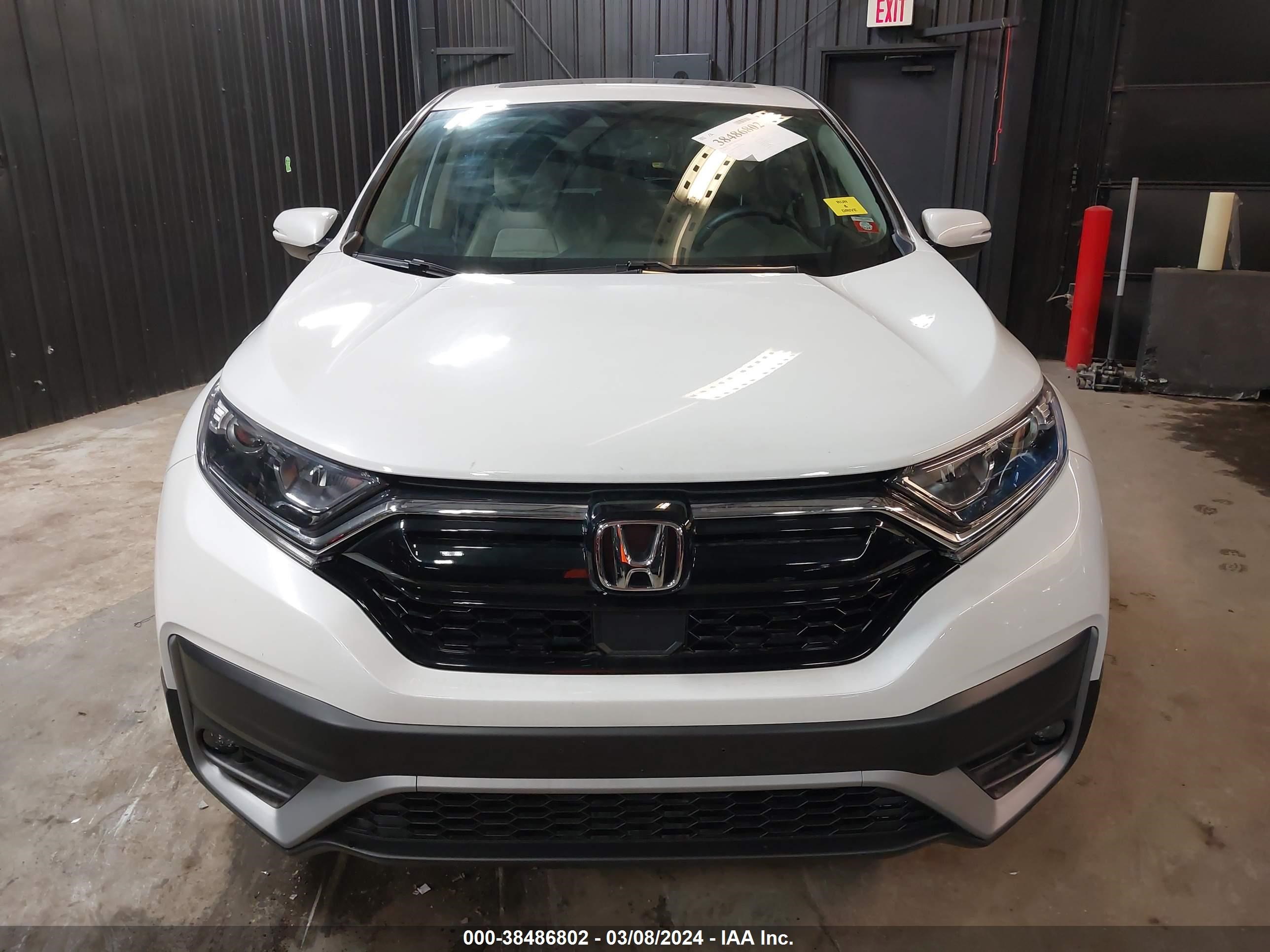 Photo 11 VIN: 2HKRW2H82NH661700 - HONDA CR-V 