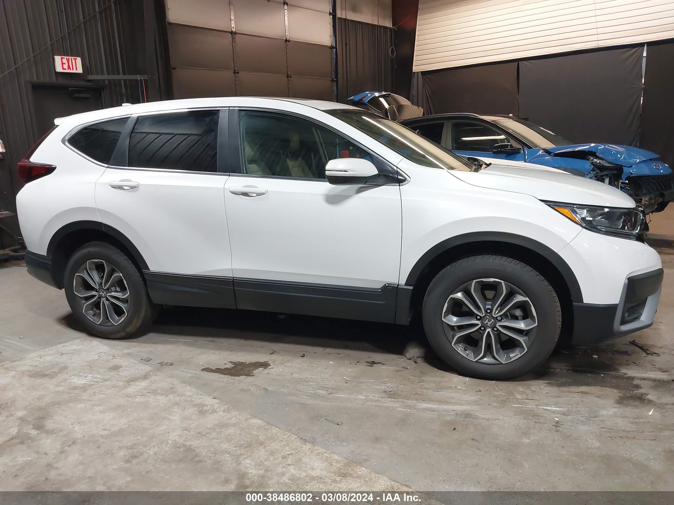 Photo 12 VIN: 2HKRW2H82NH661700 - HONDA CR-V 