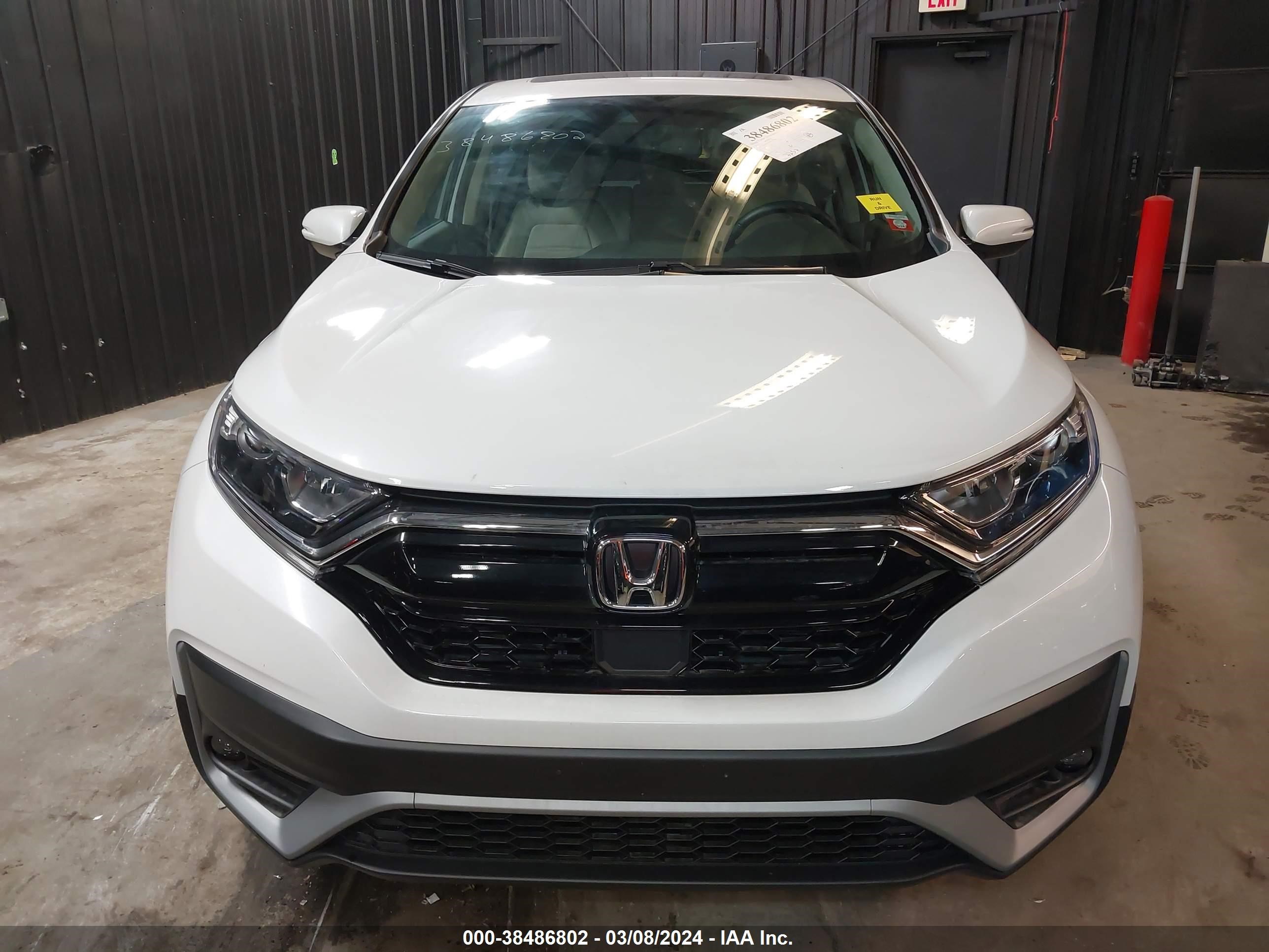 Photo 5 VIN: 2HKRW2H82NH661700 - HONDA CR-V 