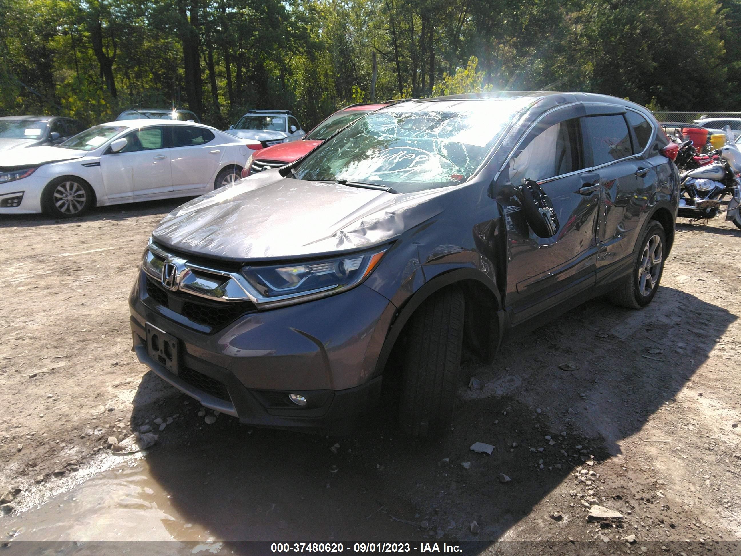 Photo 1 VIN: 2HKRW2H83KH647607 - HONDA CR-V 