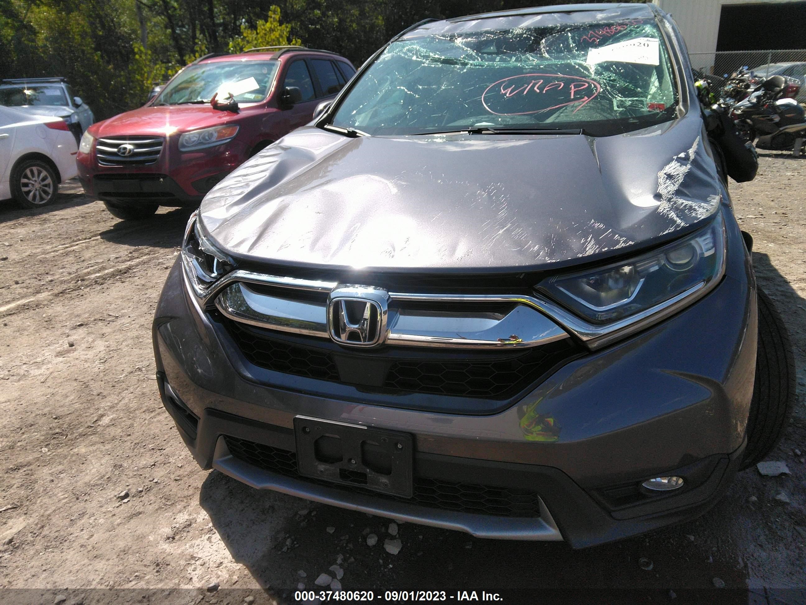 Photo 11 VIN: 2HKRW2H83KH647607 - HONDA CR-V 