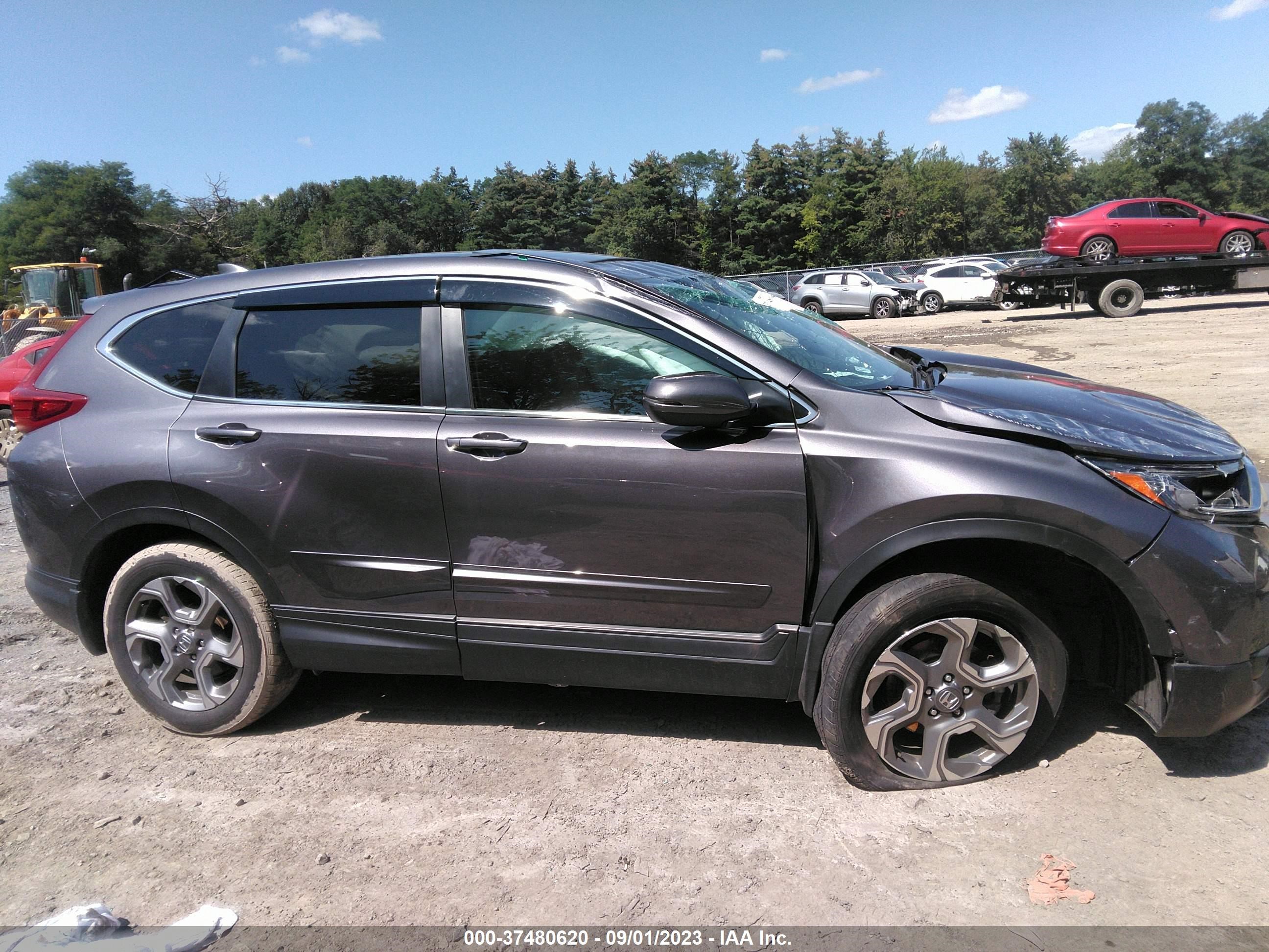 Photo 12 VIN: 2HKRW2H83KH647607 - HONDA CR-V 