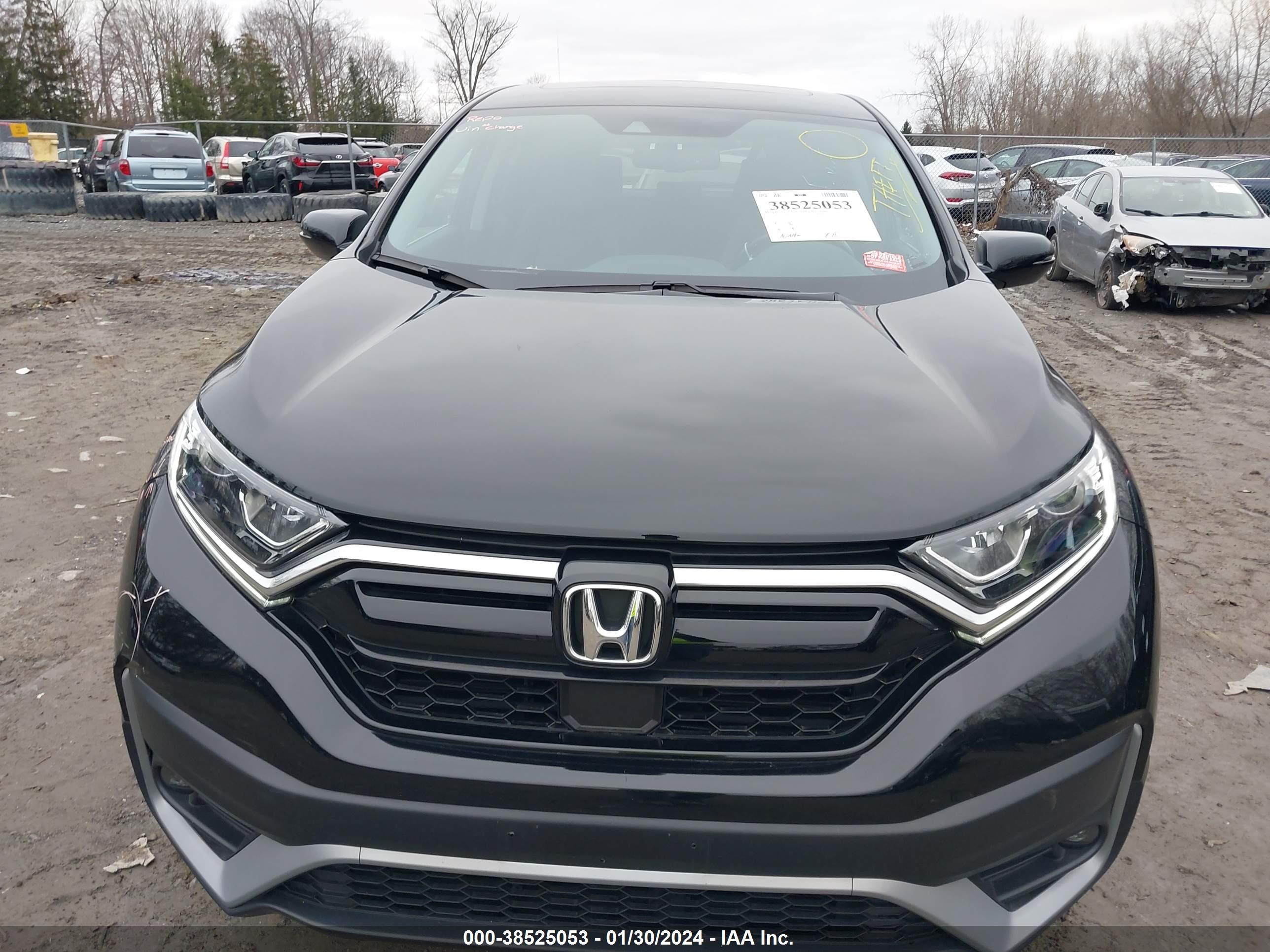 Photo 11 VIN: 2HKRW2H85LH694042 - HONDA CR-V 