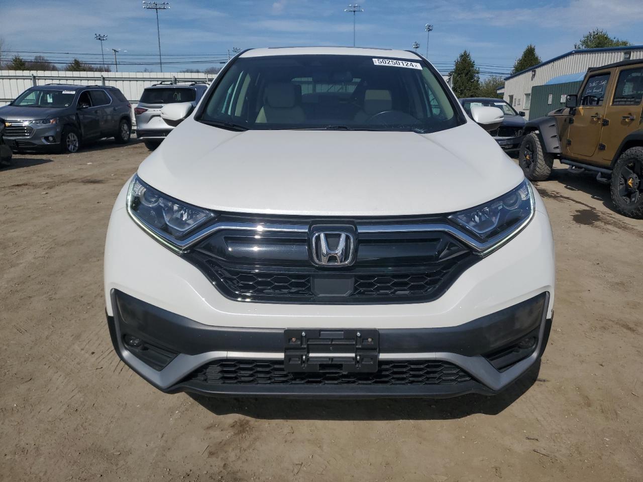 Photo 4 VIN: 2HKRW2H87LH600145 - HONDA CR-V 