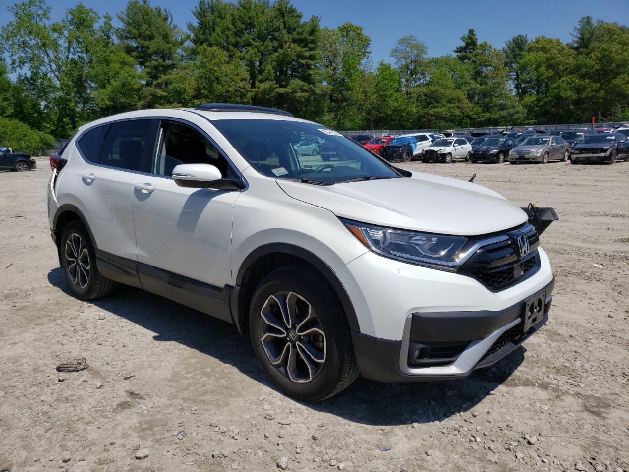 Photo 3 VIN: 2HKRW2H88LH669684 - HONDA CR-V 