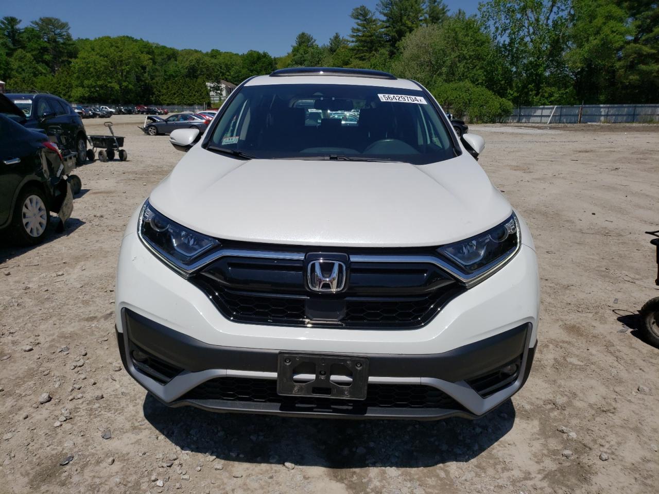 Photo 4 VIN: 2HKRW2H88LH669684 - HONDA CR-V 