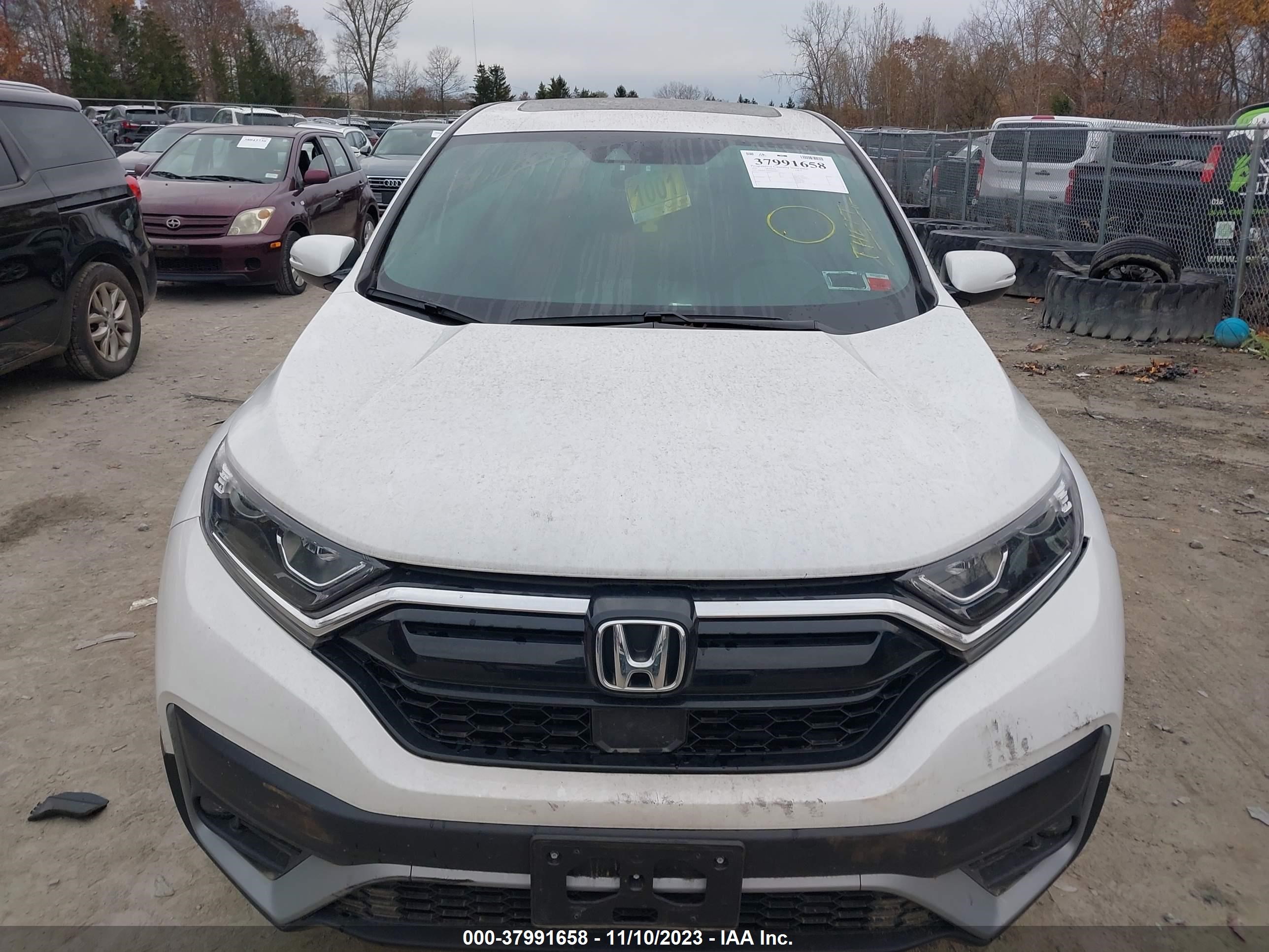 Photo 11 VIN: 2HKRW2H89MH668819 - HONDA CR-V 