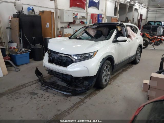 Photo 1 VIN: 2HKRW2H8XJH667061 - HONDA CR-V 