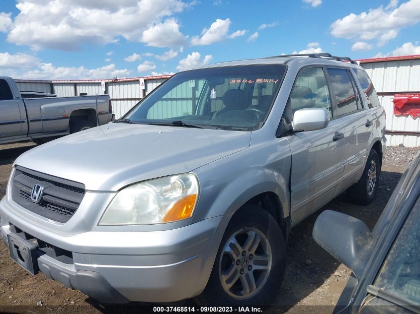 Photo 1 VIN: 2HKYF18485H519094 - HONDA PILOT 