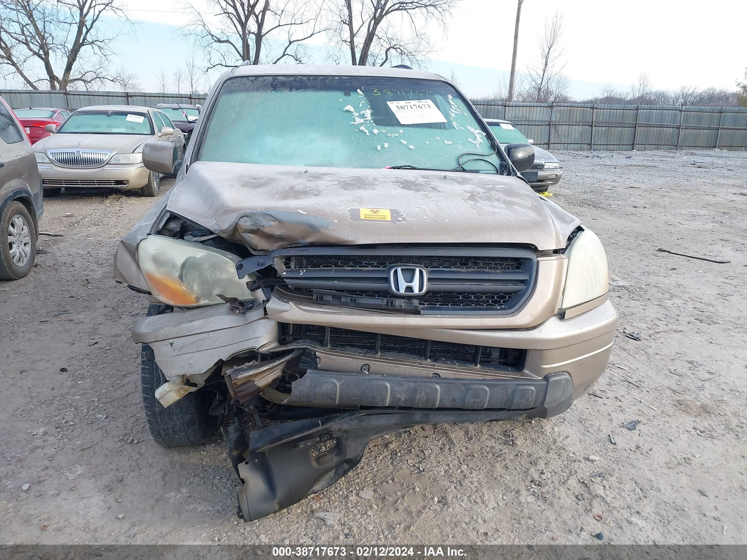 Photo 5 VIN: 2HKYF18504H550556 - HONDA PILOT 