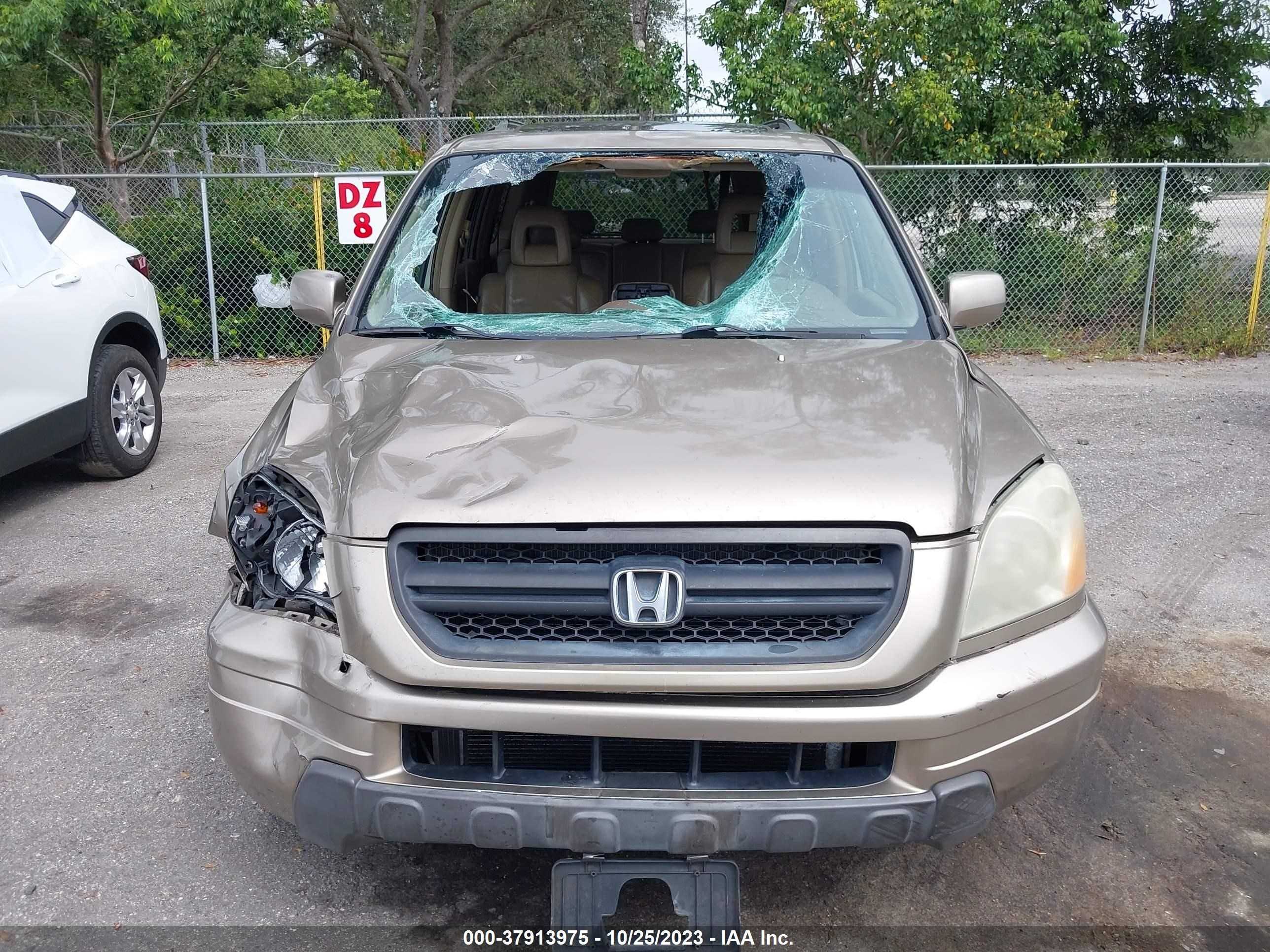 Photo 12 VIN: 2HKYF18555H527694 - HONDA PILOT 