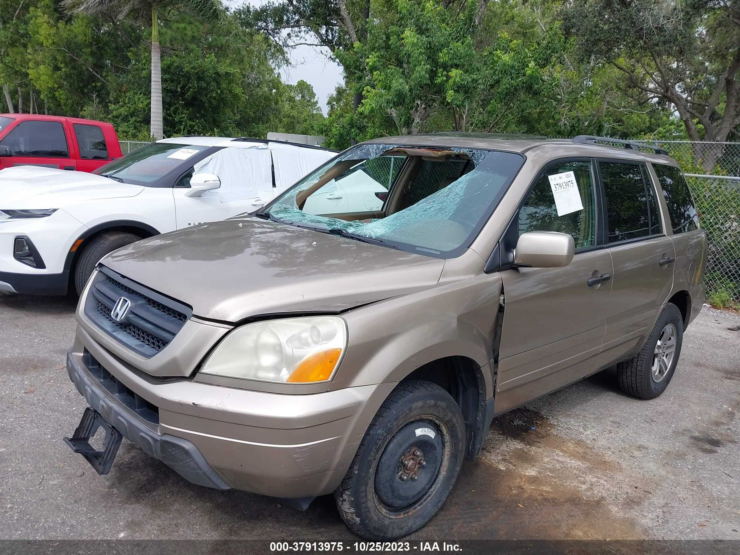 Photo 2 VIN: 2HKYF18555H527694 - HONDA PILOT 