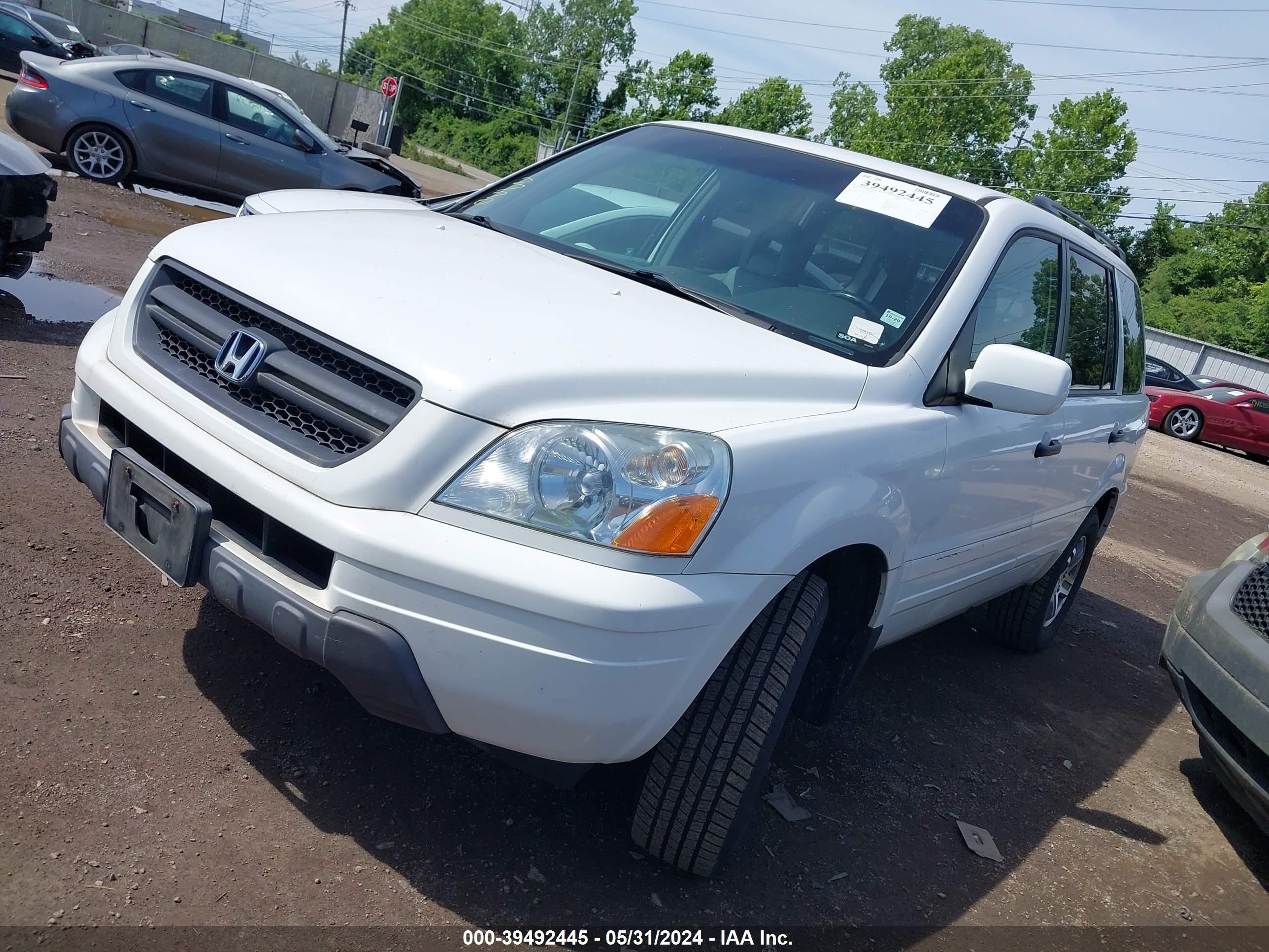 Photo 1 VIN: 2HKYF18565H544875 - HONDA PILOT 