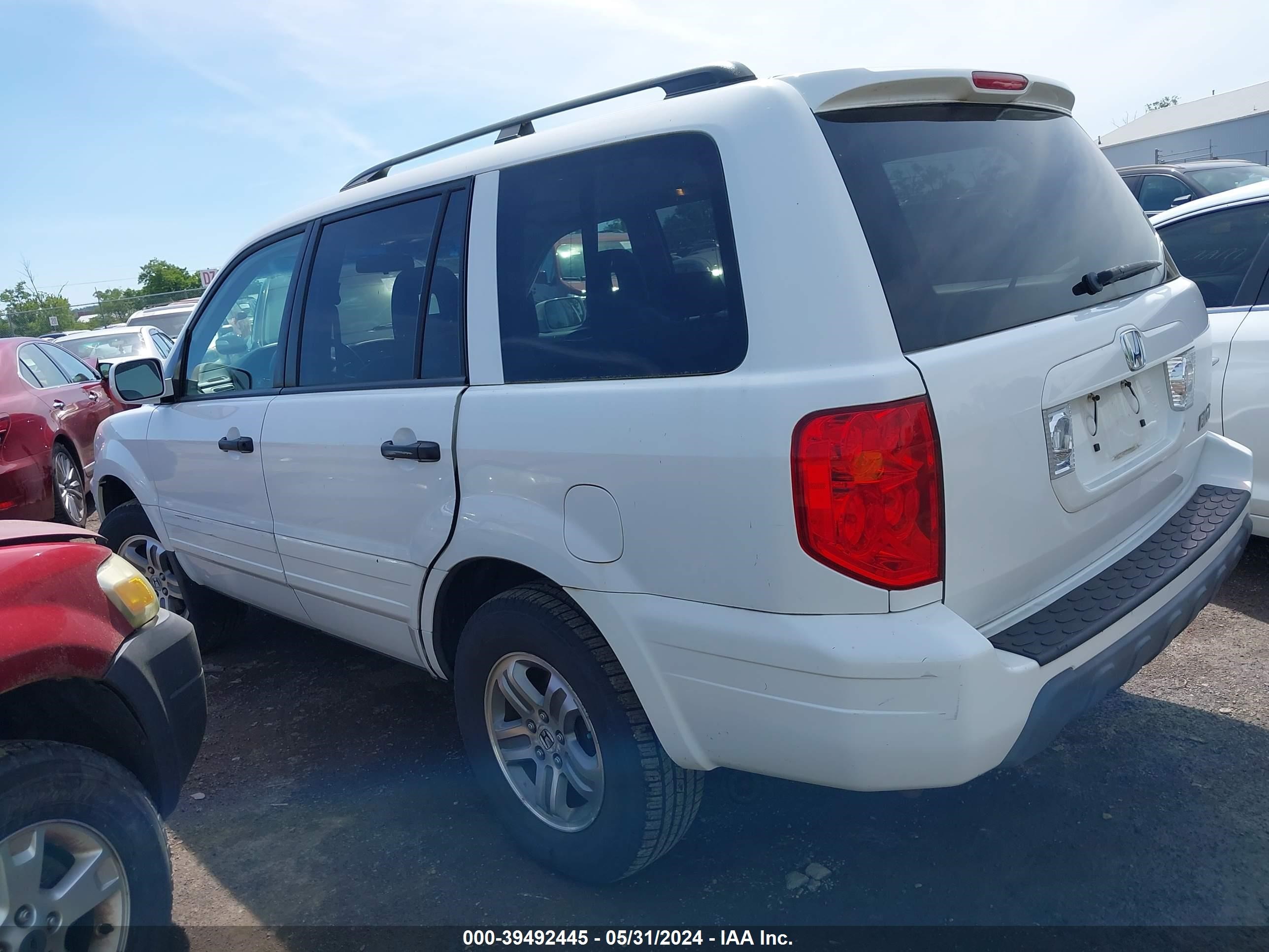 Photo 2 VIN: 2HKYF18565H544875 - HONDA PILOT 