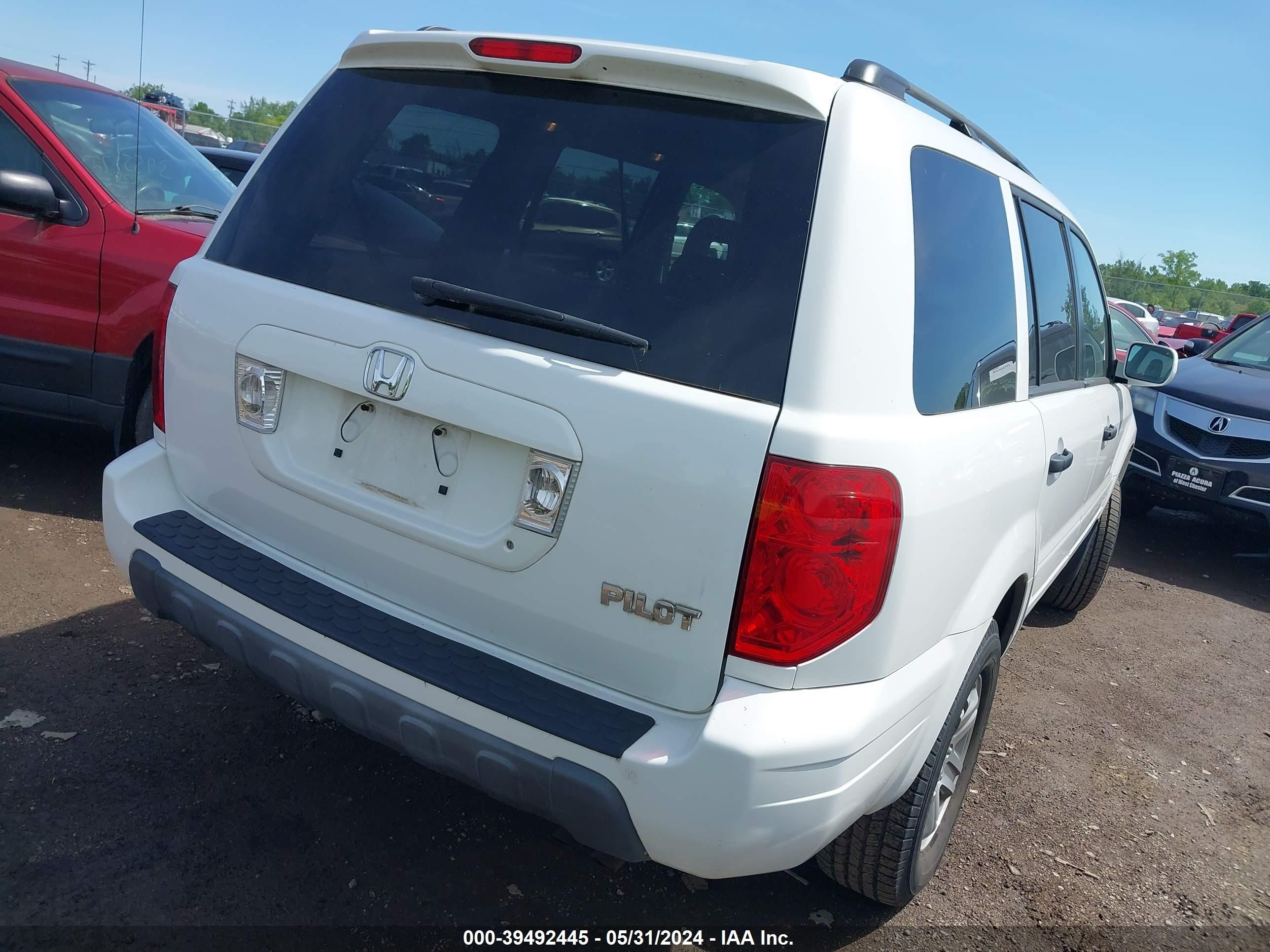 Photo 3 VIN: 2HKYF18565H544875 - HONDA PILOT 