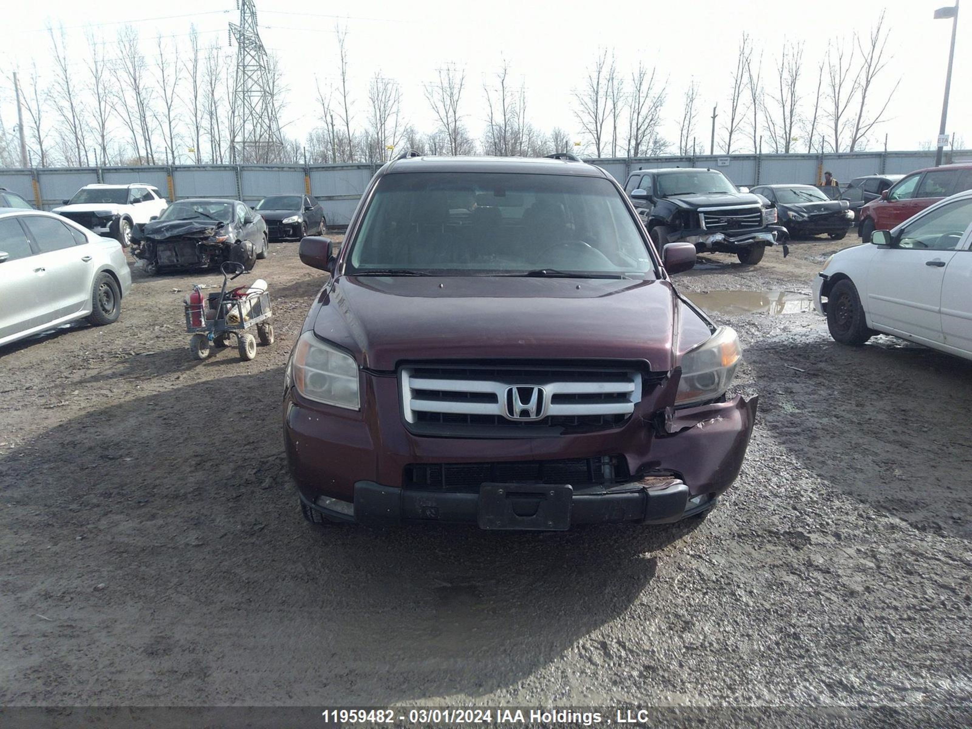 Photo 11 VIN: 2HKYF18577H000887 - HONDA PILOT 