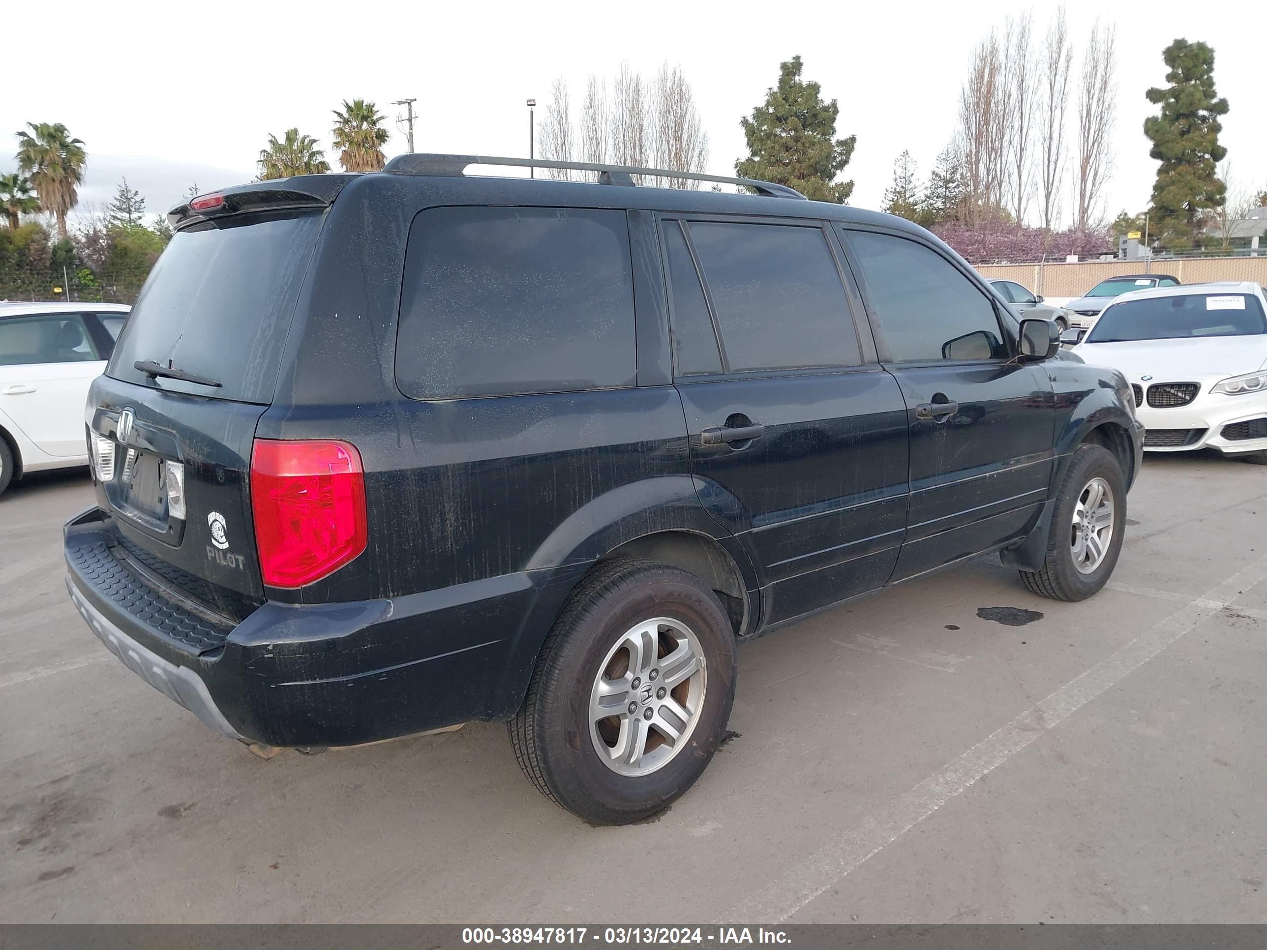 Photo 3 VIN: 2HKYF18593H587541 - HONDA PILOT 