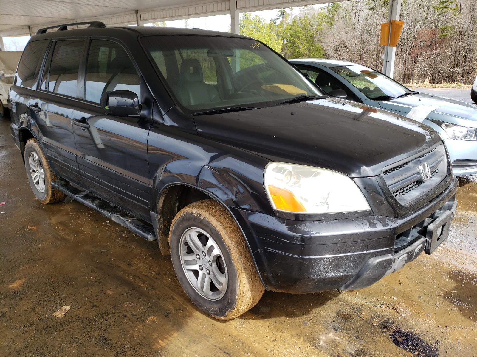 Photo 8 VIN: 2HKYF18614H502640 - HONDA PILOT EXL 