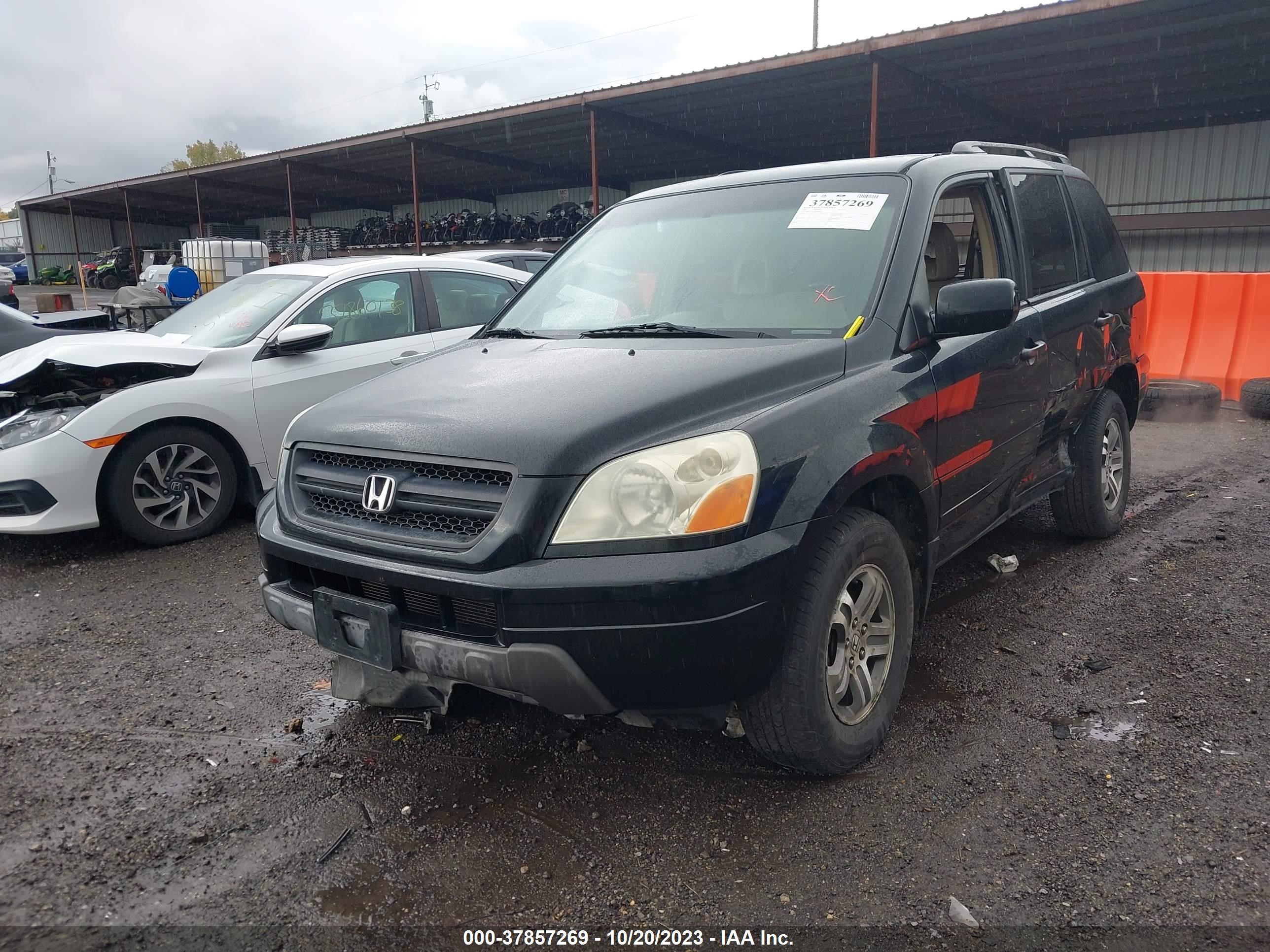 Photo 11 VIN: 2HKYF18614H505053 - HONDA PILOT 