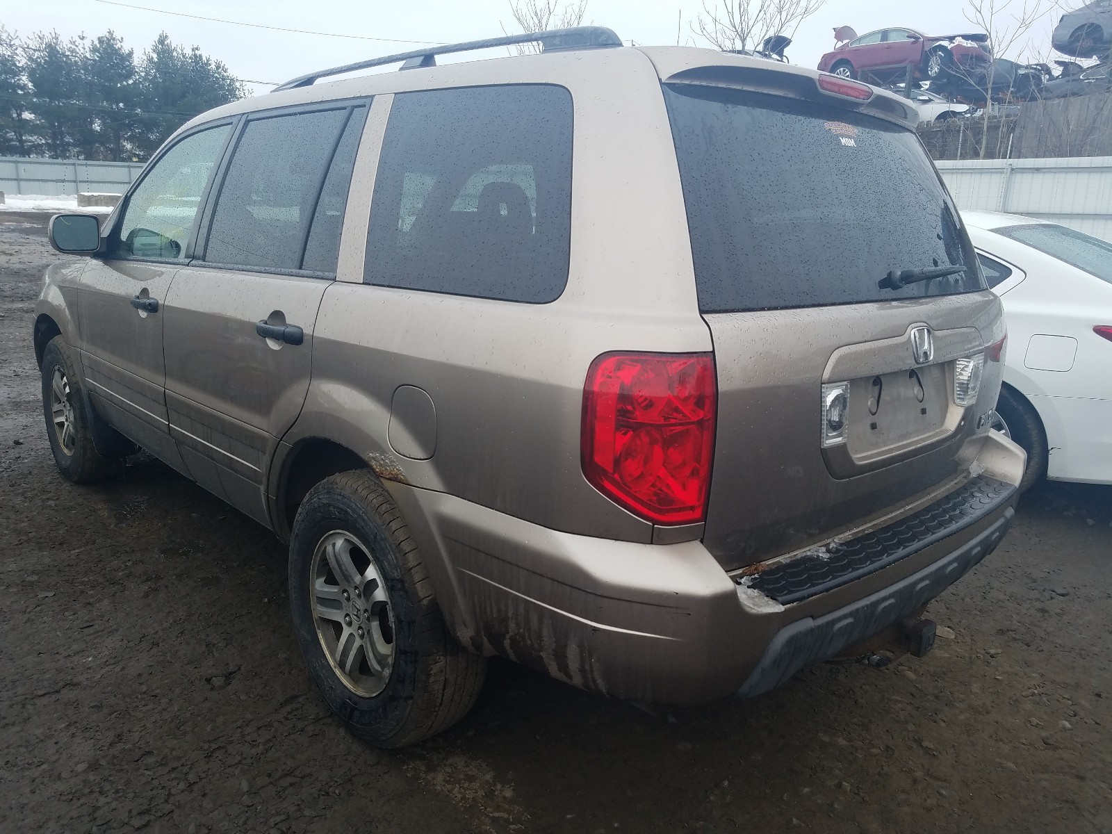 Photo 2 VIN: 2HKYF18614H514867 - HONDA PILOT EXL 