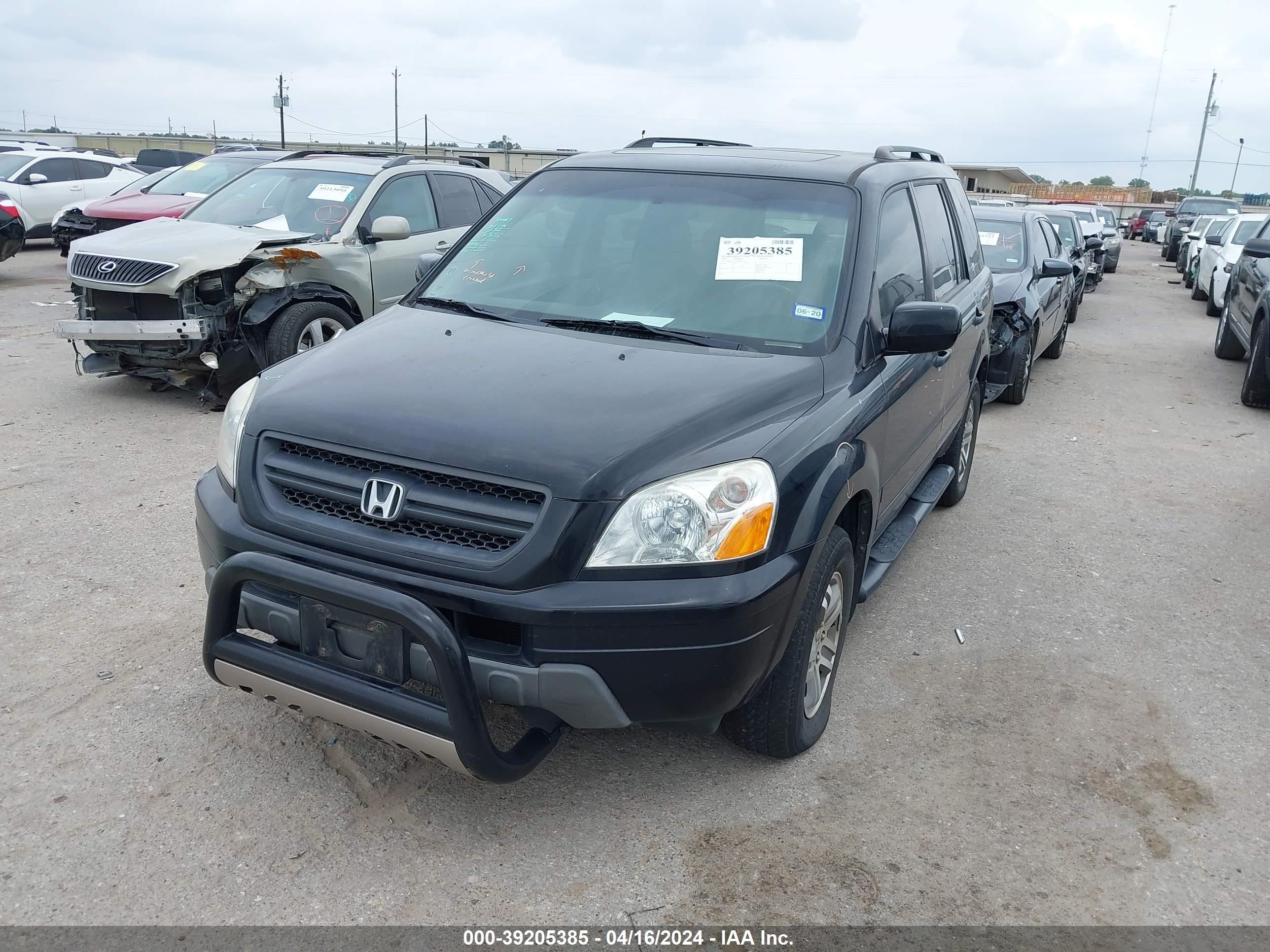 Photo 1 VIN: 2HKYF18725H562825 - HONDA PILOT 