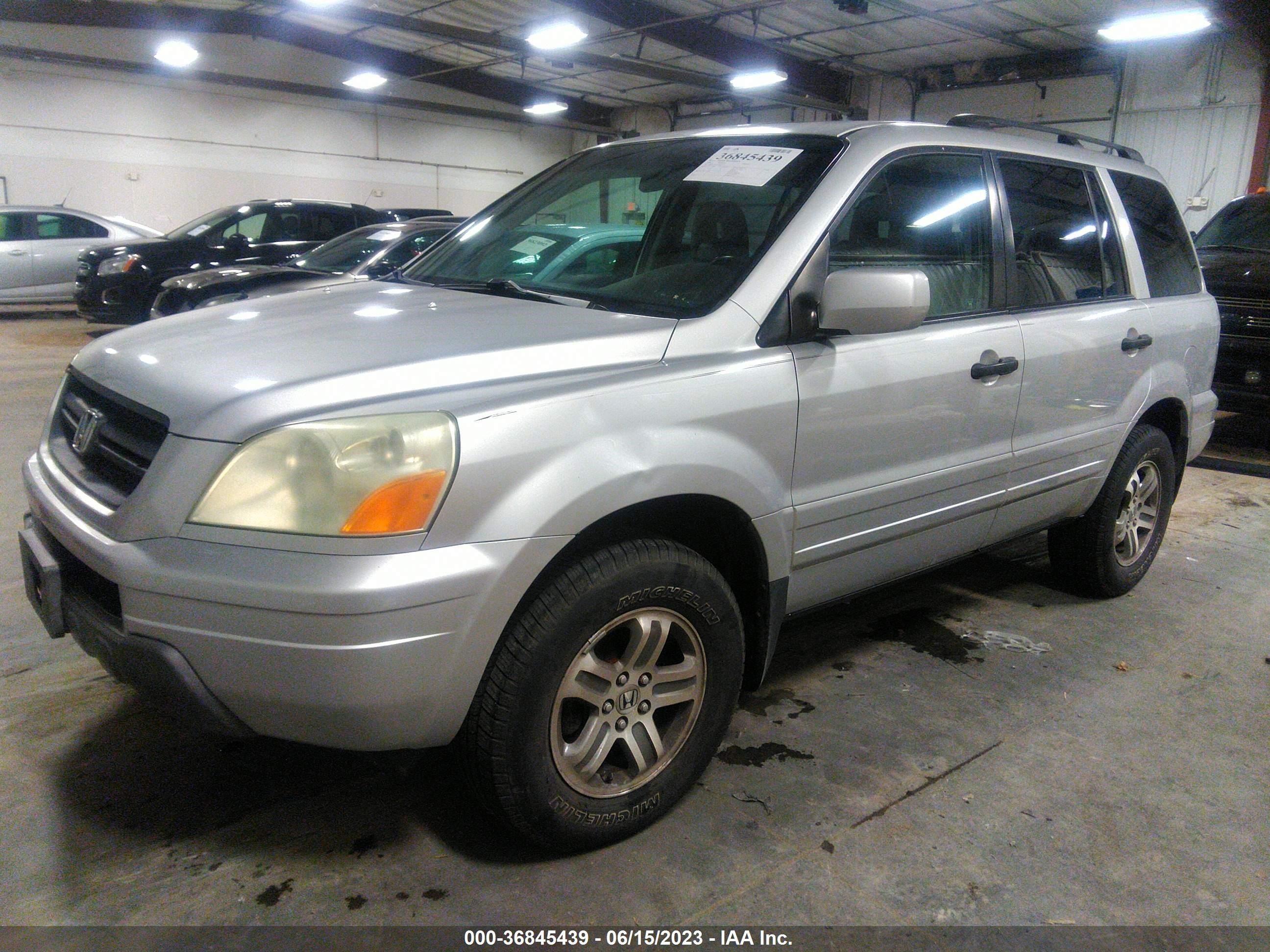 Photo 1 VIN: 2HKYF18755H504773 - HONDA PILOT 