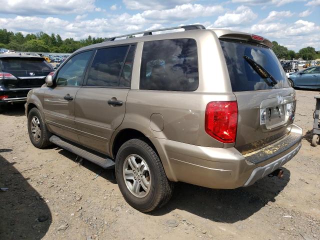 Photo 1 VIN: 2HKYF18775H524944 - HONDA PILOT 