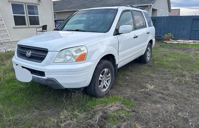 Photo 1 VIN: 2HKYF18785H546001 - HONDA PILOT 