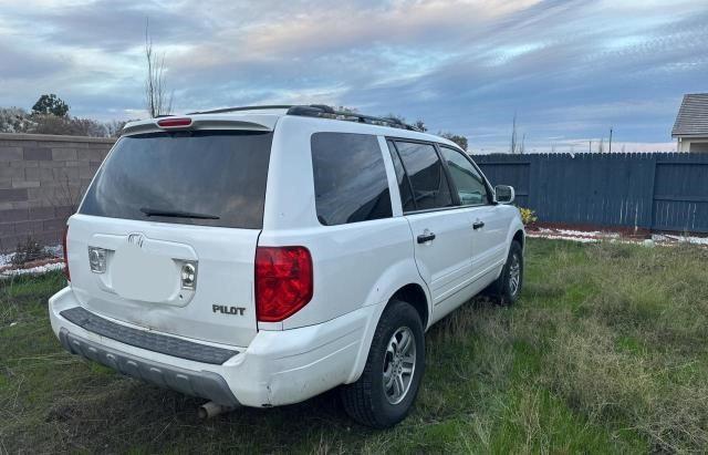 Photo 3 VIN: 2HKYF18785H546001 - HONDA PILOT 