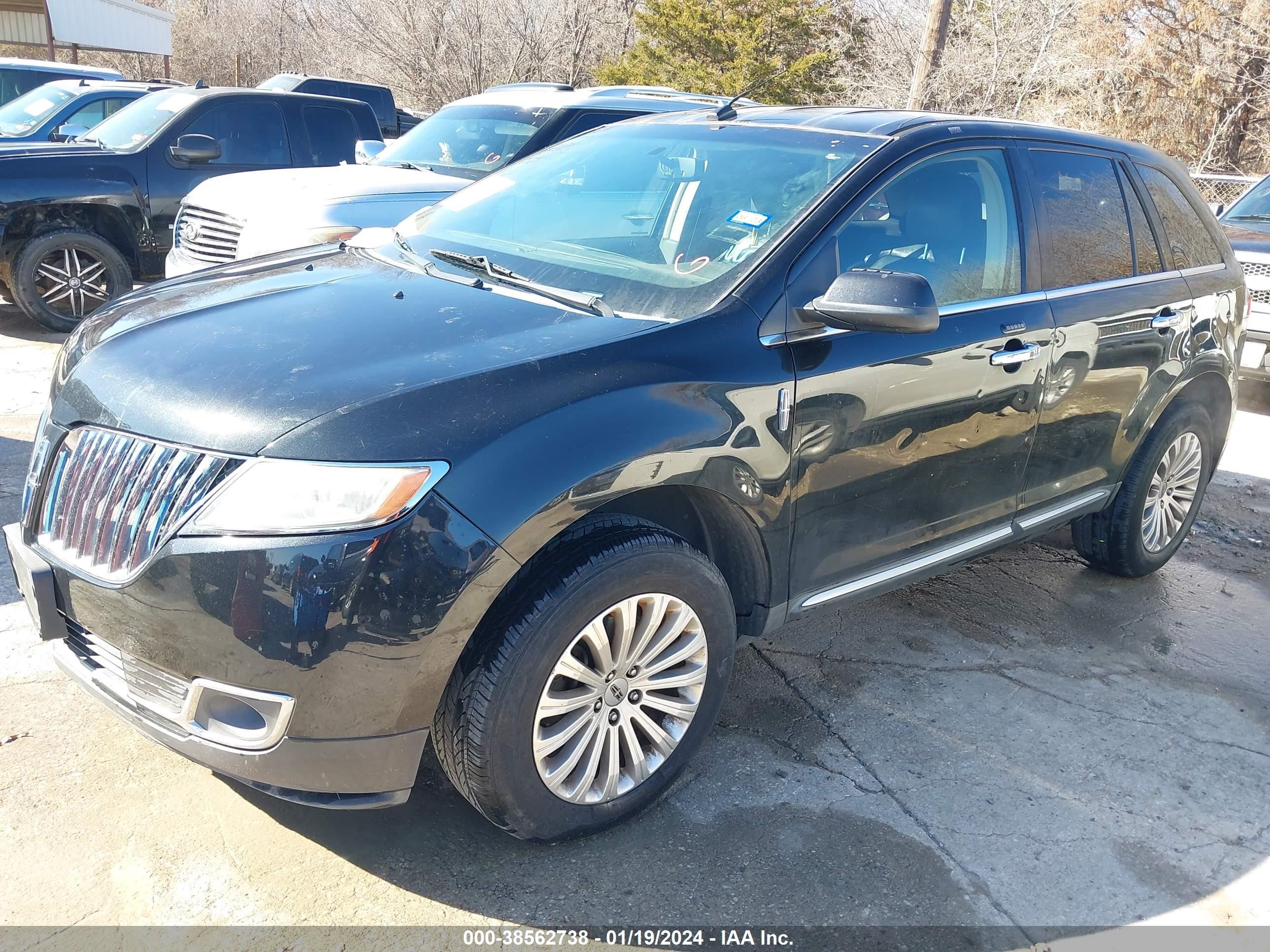 Photo 1 VIN: 2LMDJ6JK4EBL05699 - LINCOLN MKX 