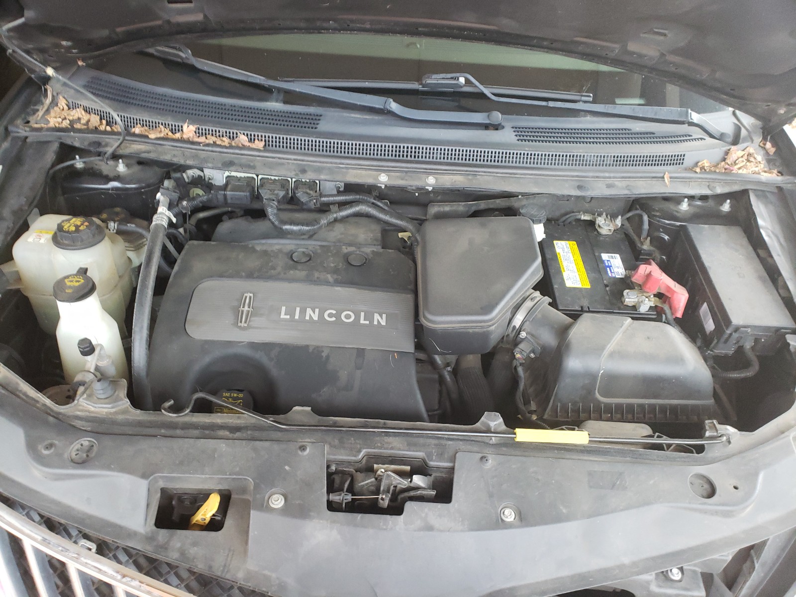 Photo 6 VIN: 2LMDJ6JK8BBJ08532 - LINCOLN MKX 