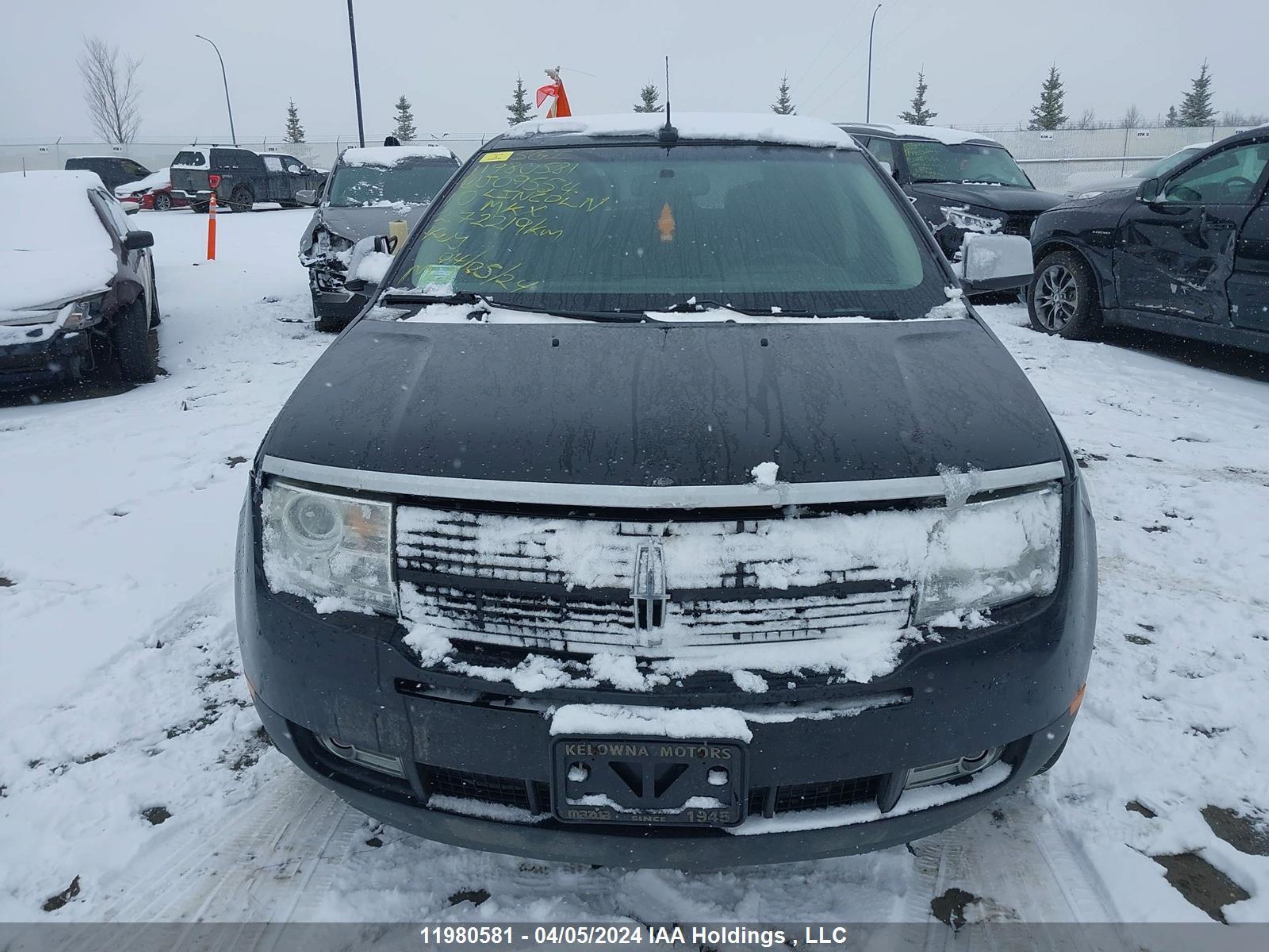 Photo 11 VIN: 2LMDJ8JC8ABJ09554 - LINCOLN MKX 