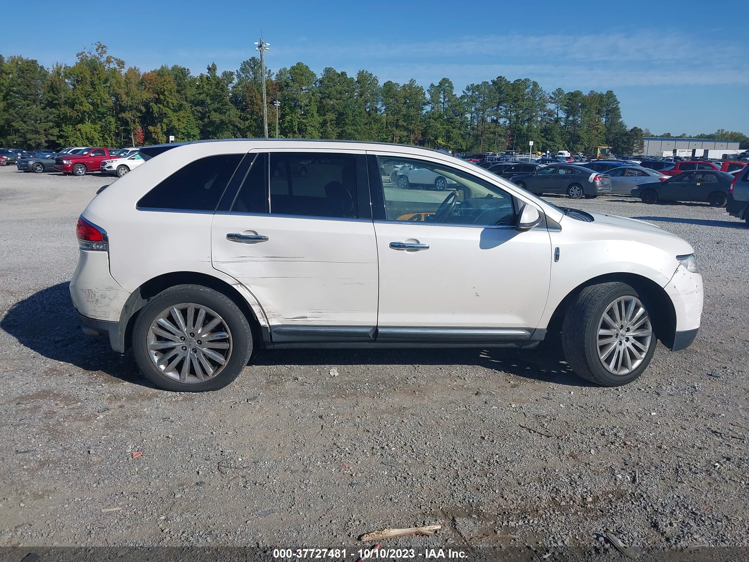 Photo 12 VIN: 2LMDJ8JK0DBL16256 - LINCOLN MKX 