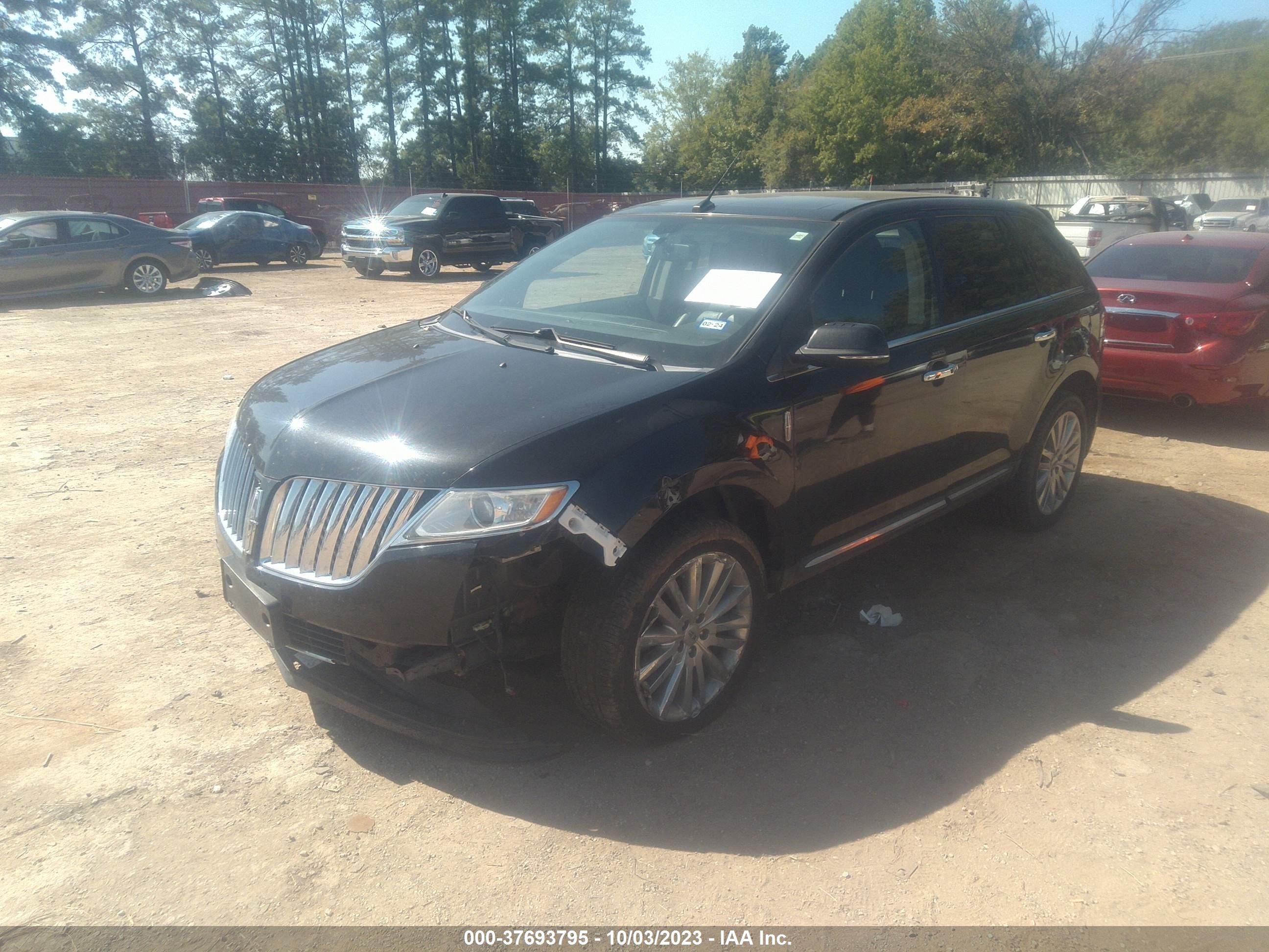 Photo 1 VIN: 2LMDJ8JK1DBL36810 - LINCOLN MKX 