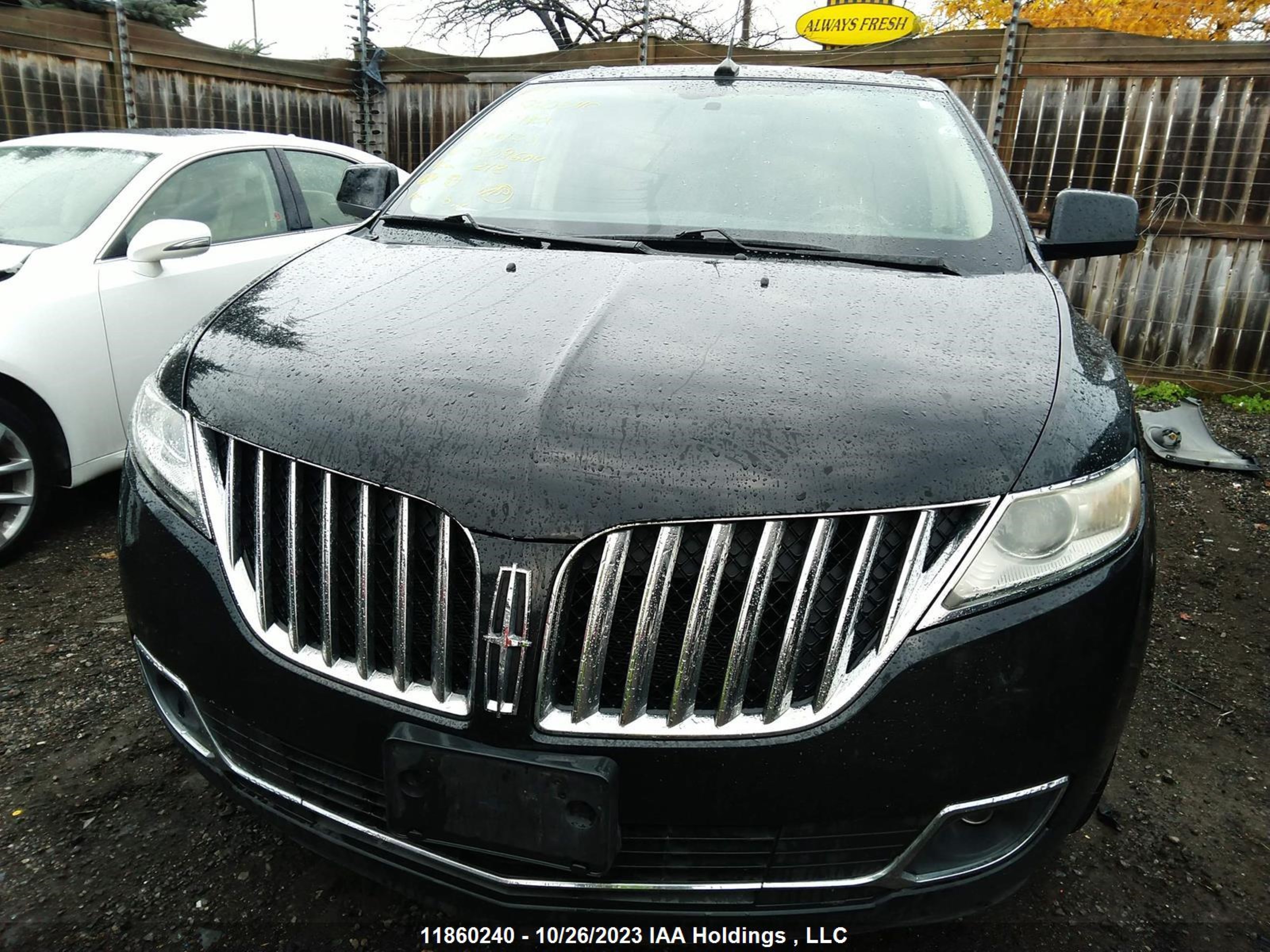 Photo 5 VIN: 2LMDJ8JK7BBJ09604 - LINCOLN MKX 