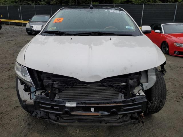 Photo 4 VIN: 2LMDJ8JK7CBL08847 - LINCOLN MKX 