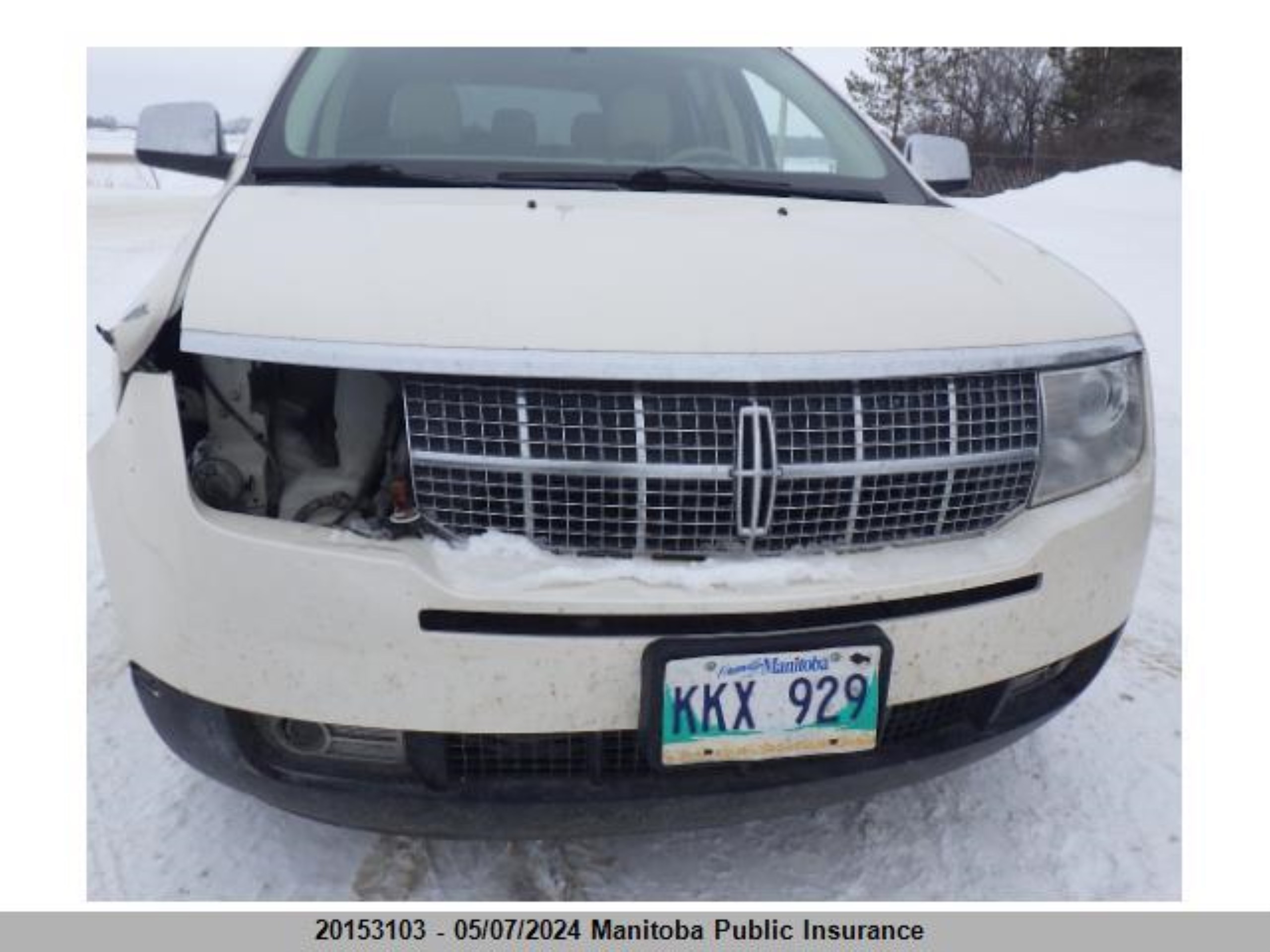 Photo 9 VIN: 2LMDU88C17BJ02757 - LINCOLN MKX 