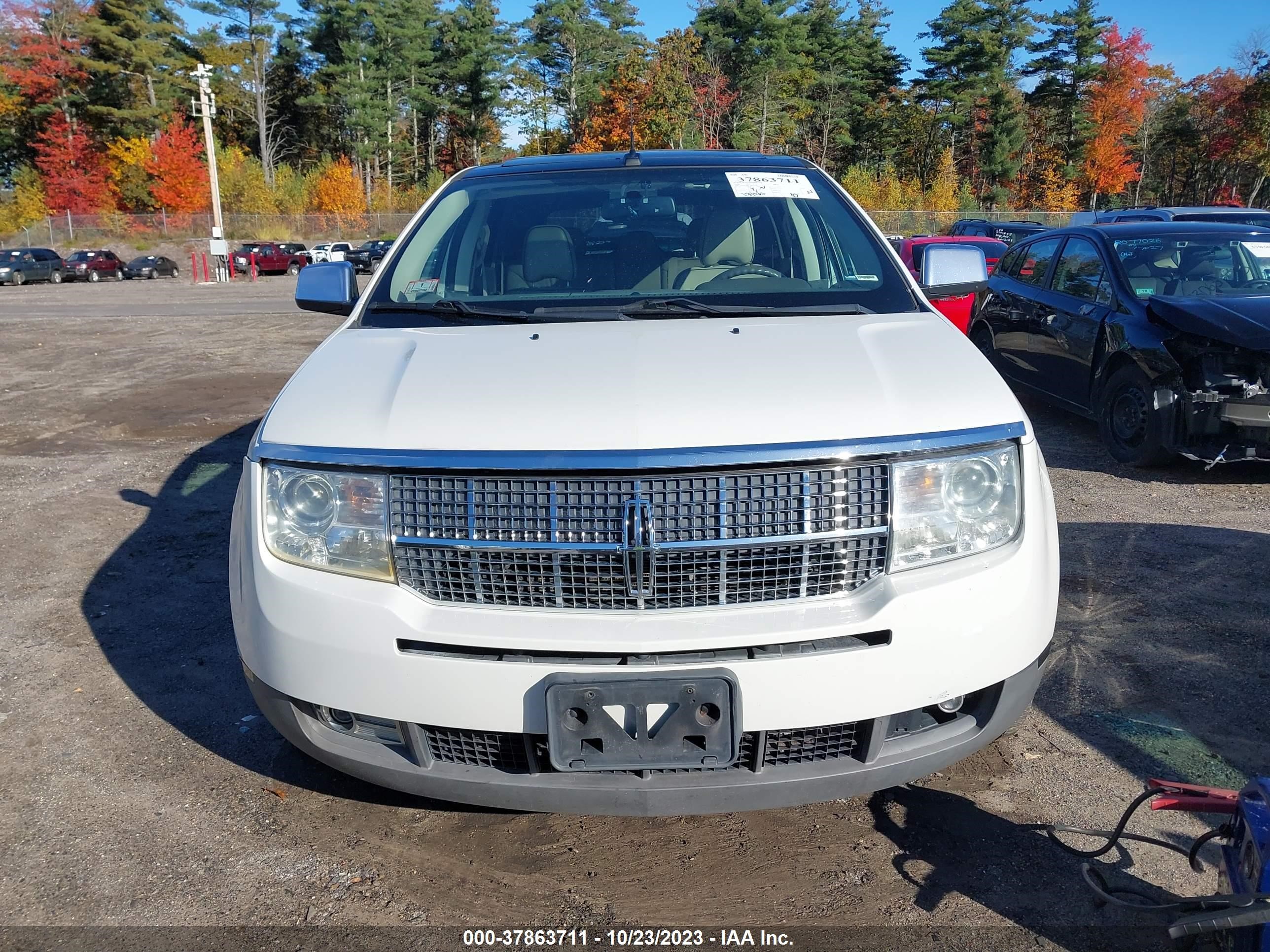 Photo 12 VIN: 2LMDU88C39BJ02326 - LINCOLN MKX 