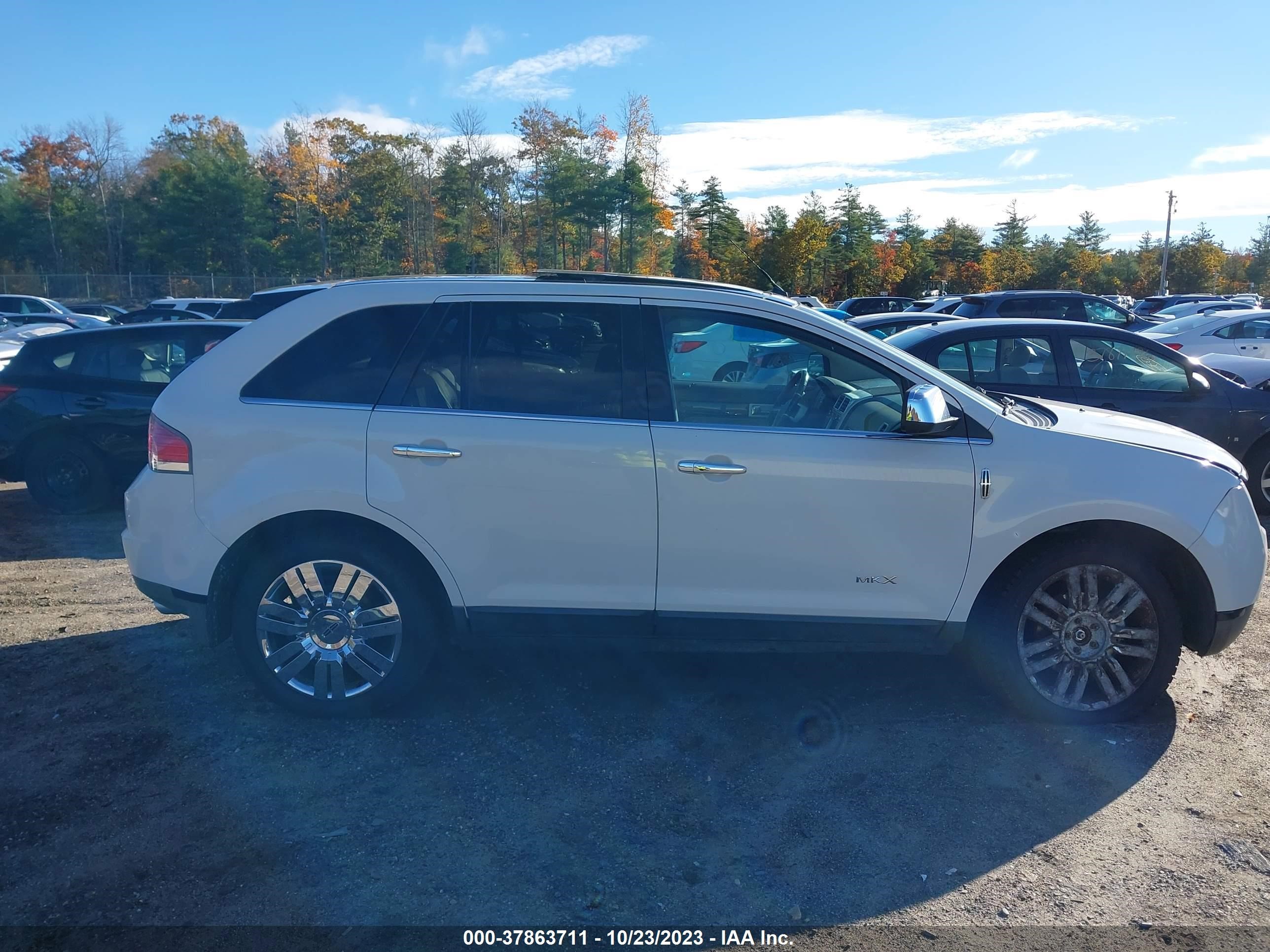 Photo 13 VIN: 2LMDU88C39BJ02326 - LINCOLN MKX 