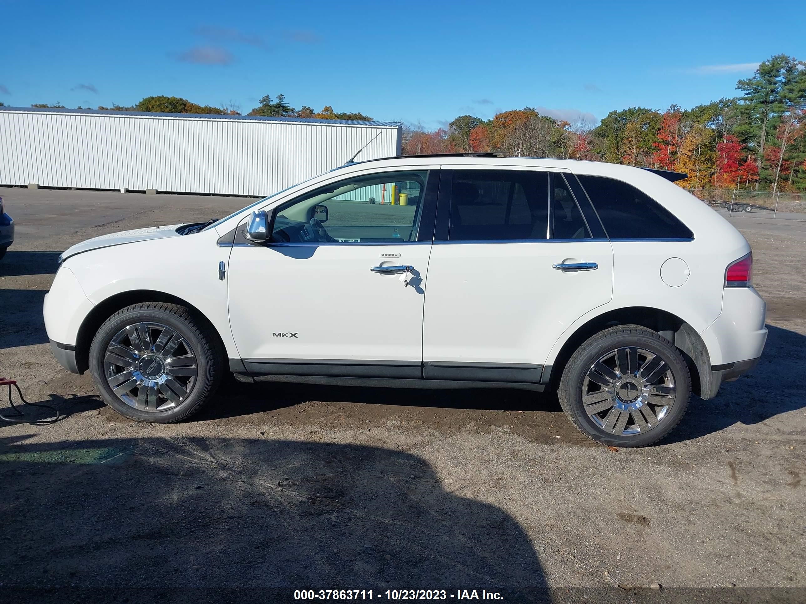 Photo 14 VIN: 2LMDU88C39BJ02326 - LINCOLN MKX 