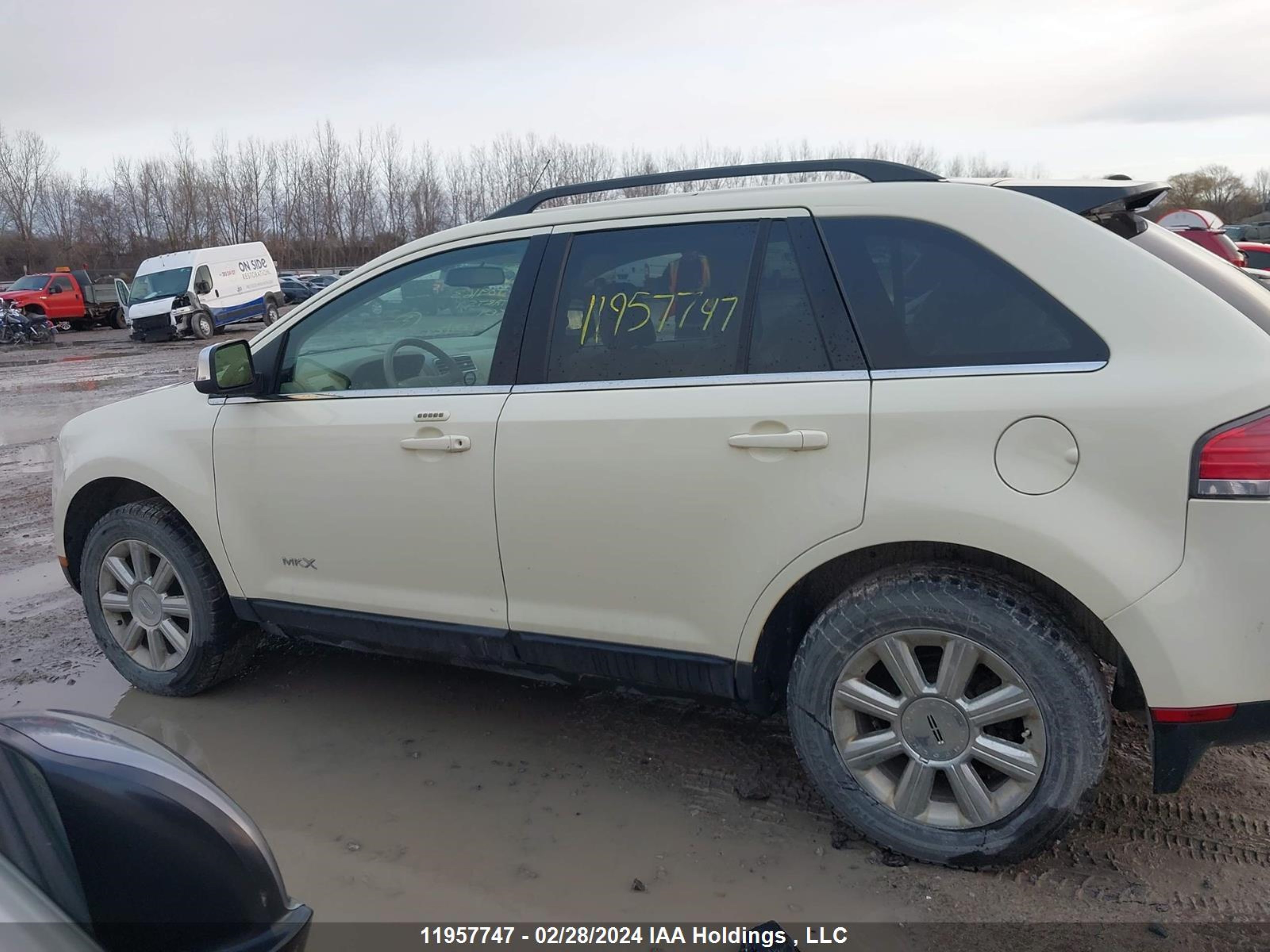 Photo 14 VIN: 2LMDU88C77BJ09163 - LINCOLN MKX 