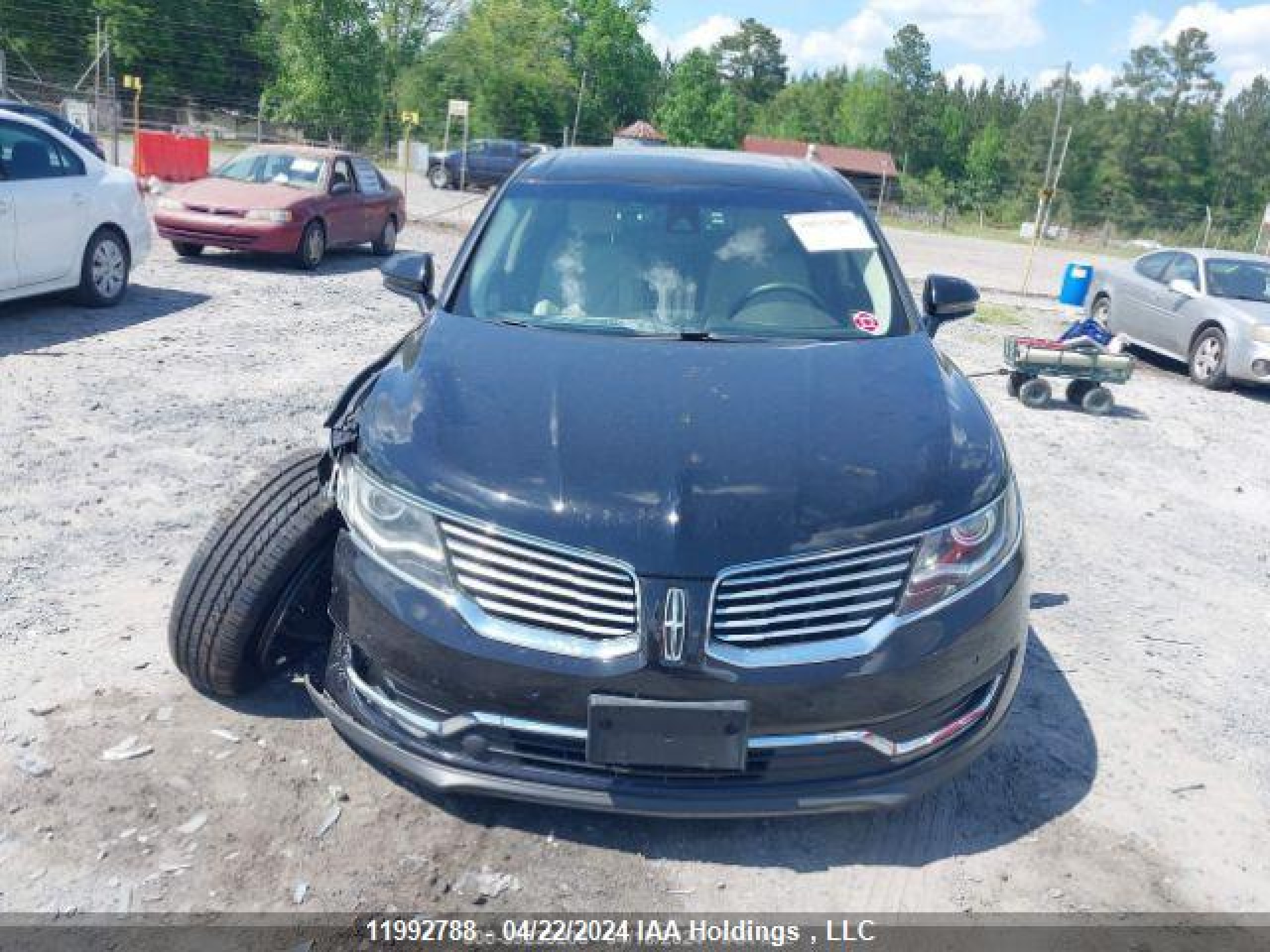 Photo 14 VIN: 2LMPJ8LRXHBL31666 - LINCOLN MKX 