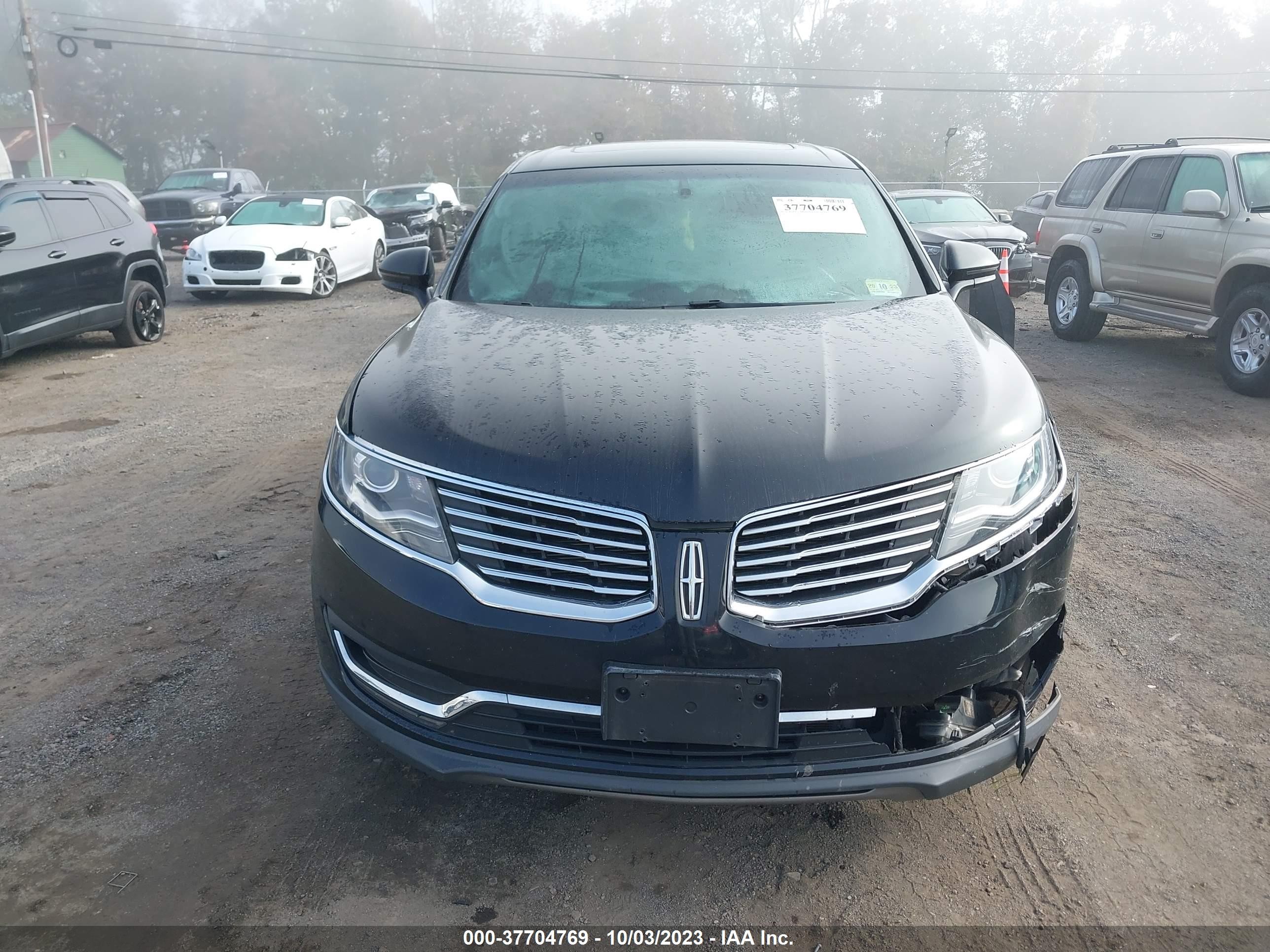 Photo 11 VIN: 2LMTJ8KR6GBL87621 - LINCOLN MKX 