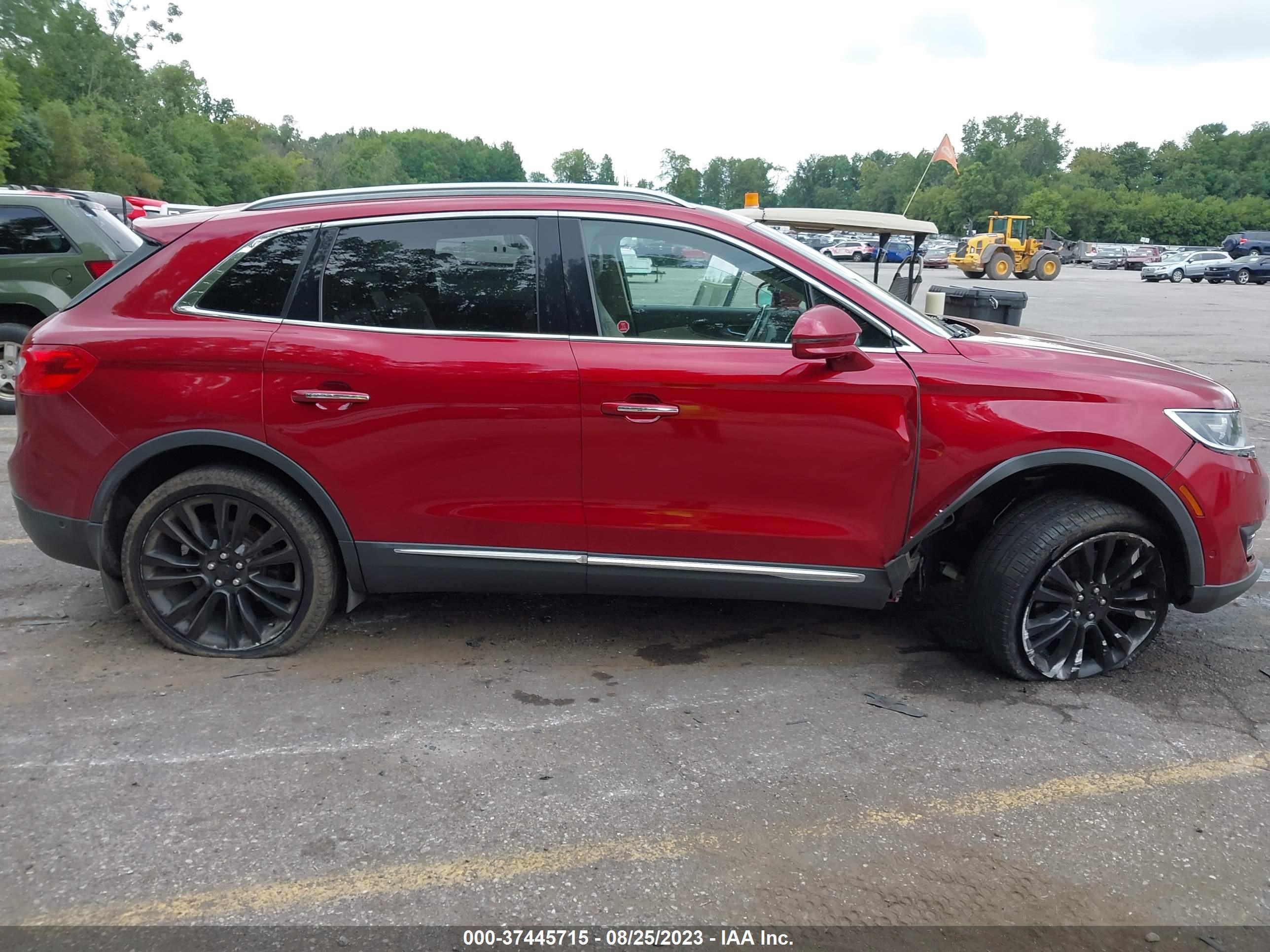 Photo 12 VIN: 2LMTJ8LP4GBL25616 - LINCOLN MKX 