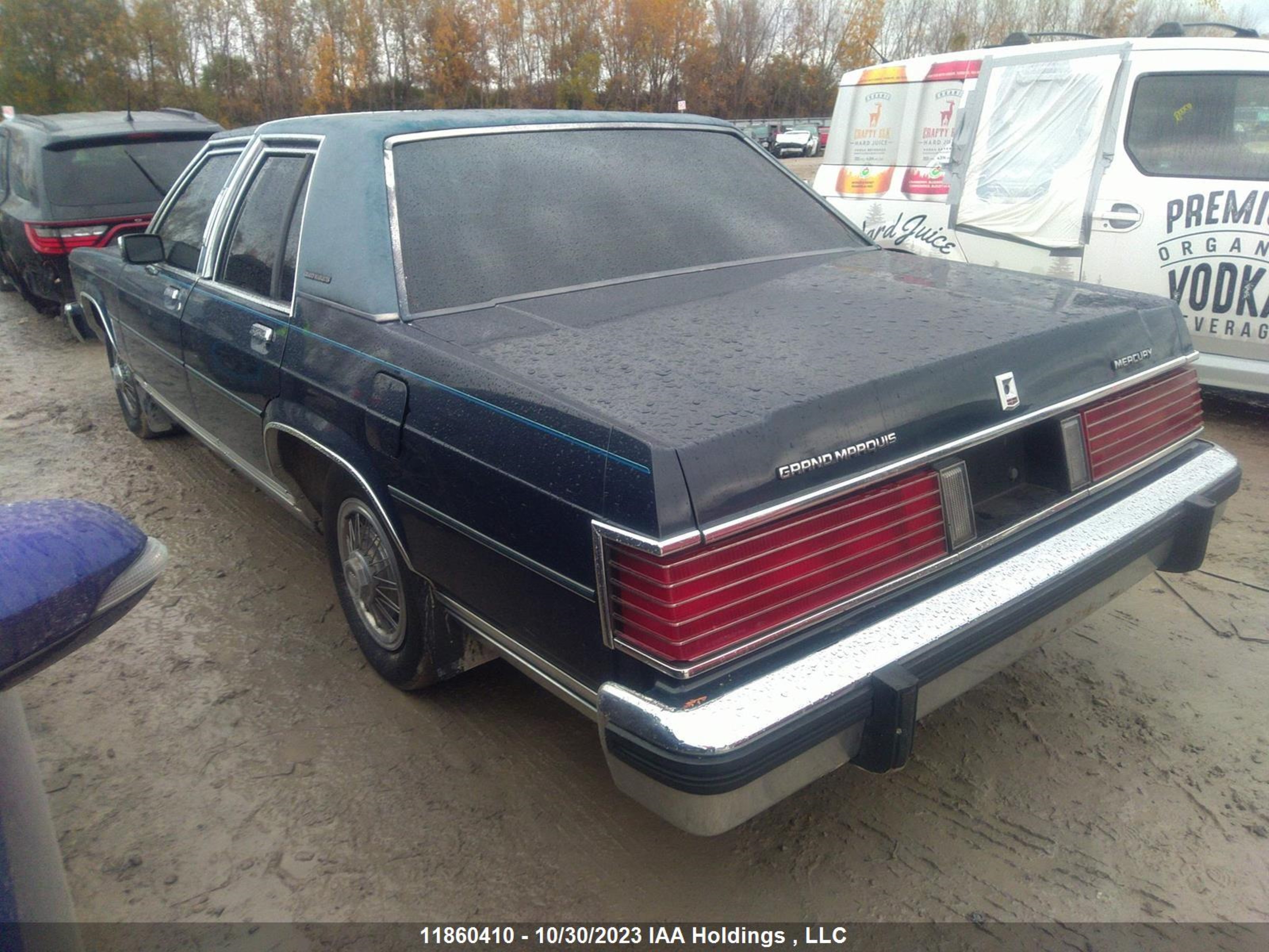 Photo 2 VIN: 2MEBP95F6GX673052 - MERCURY GRAND MARQUIS 