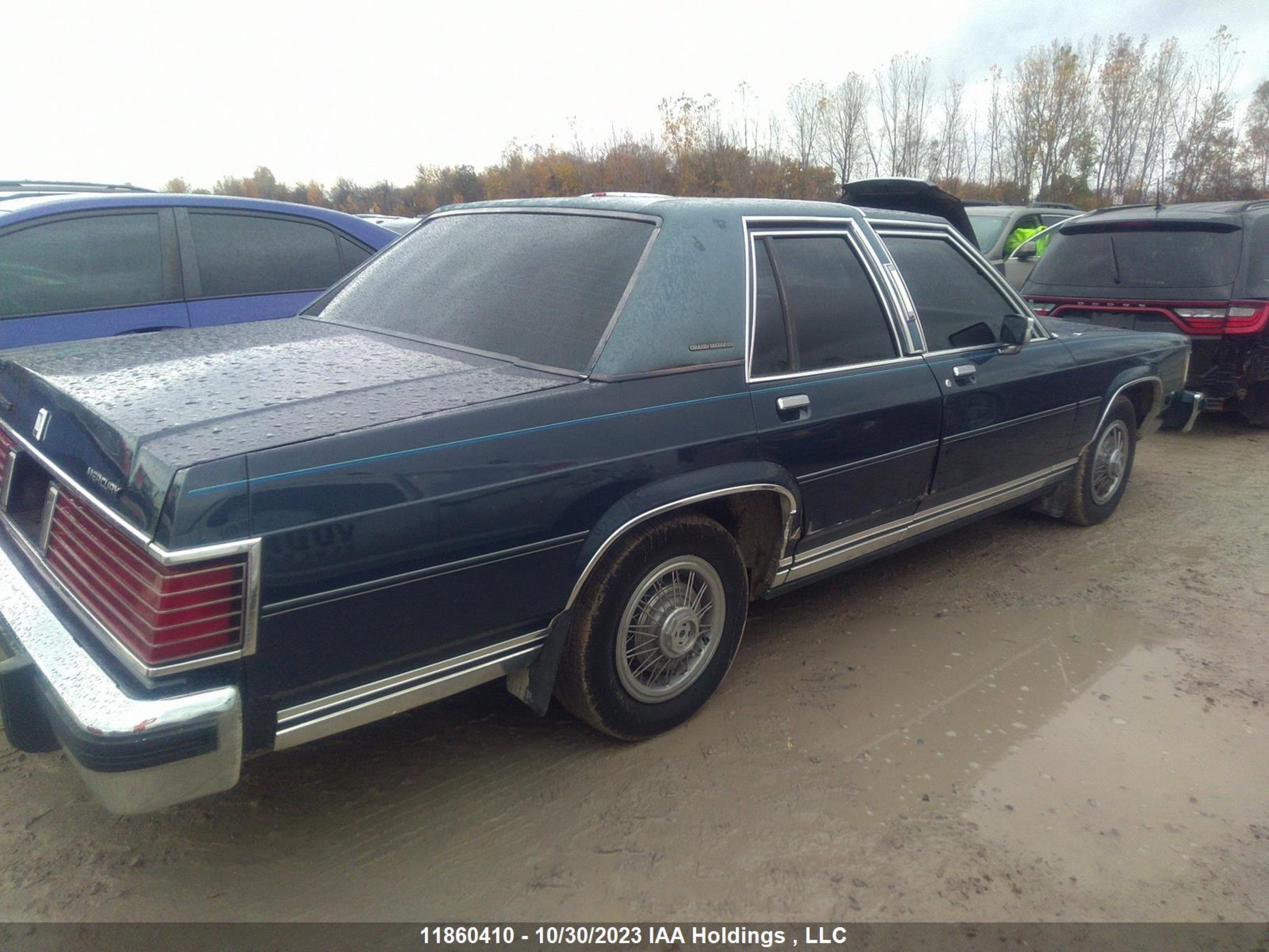 Photo 5 VIN: 2MEBP95F6GX673052 - MERCURY GRAND MARQUIS 