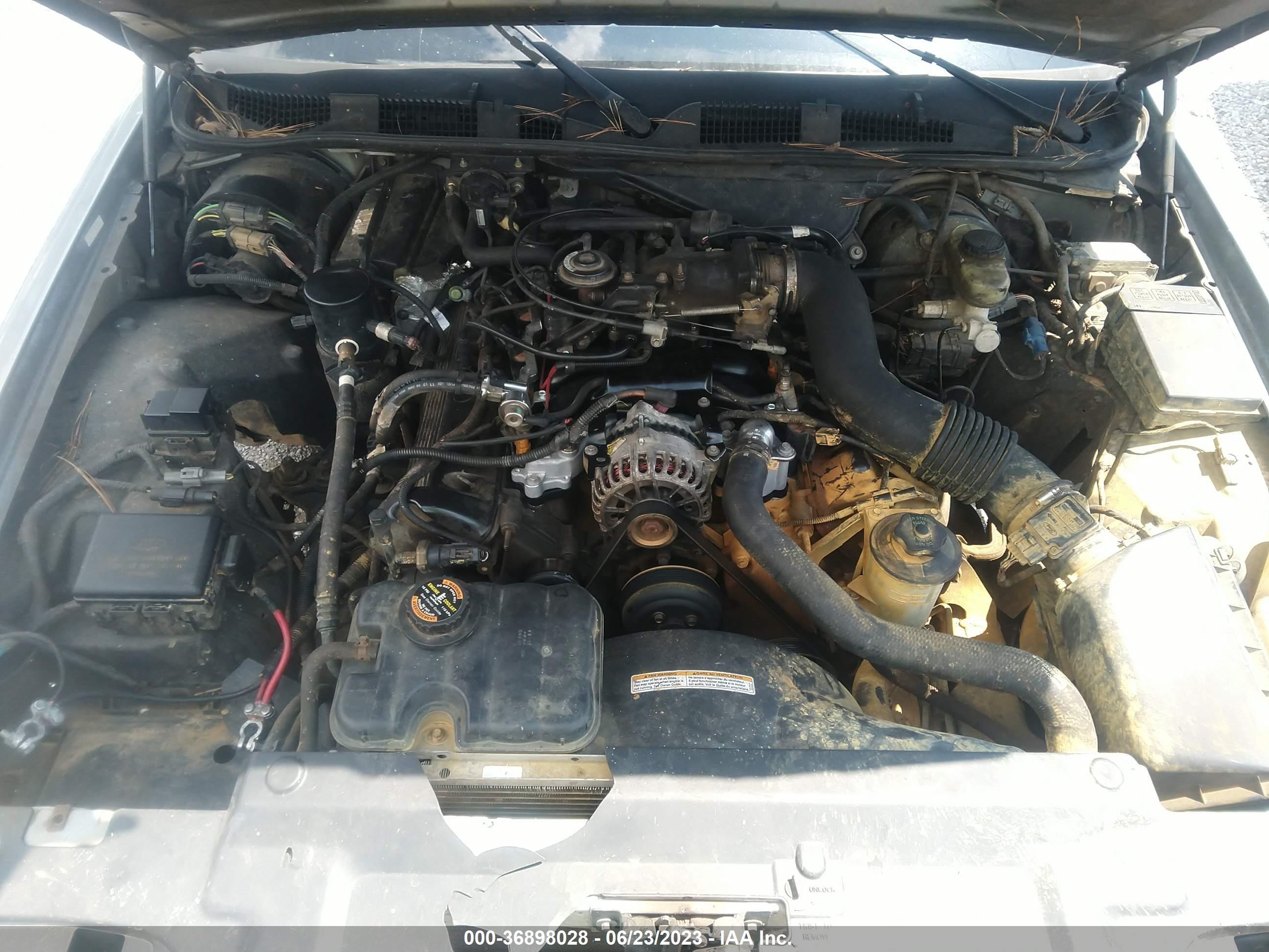 Photo 9 VIN: 2MEFM74W4XX655570 - MERCURY GRAND MARQUIS 