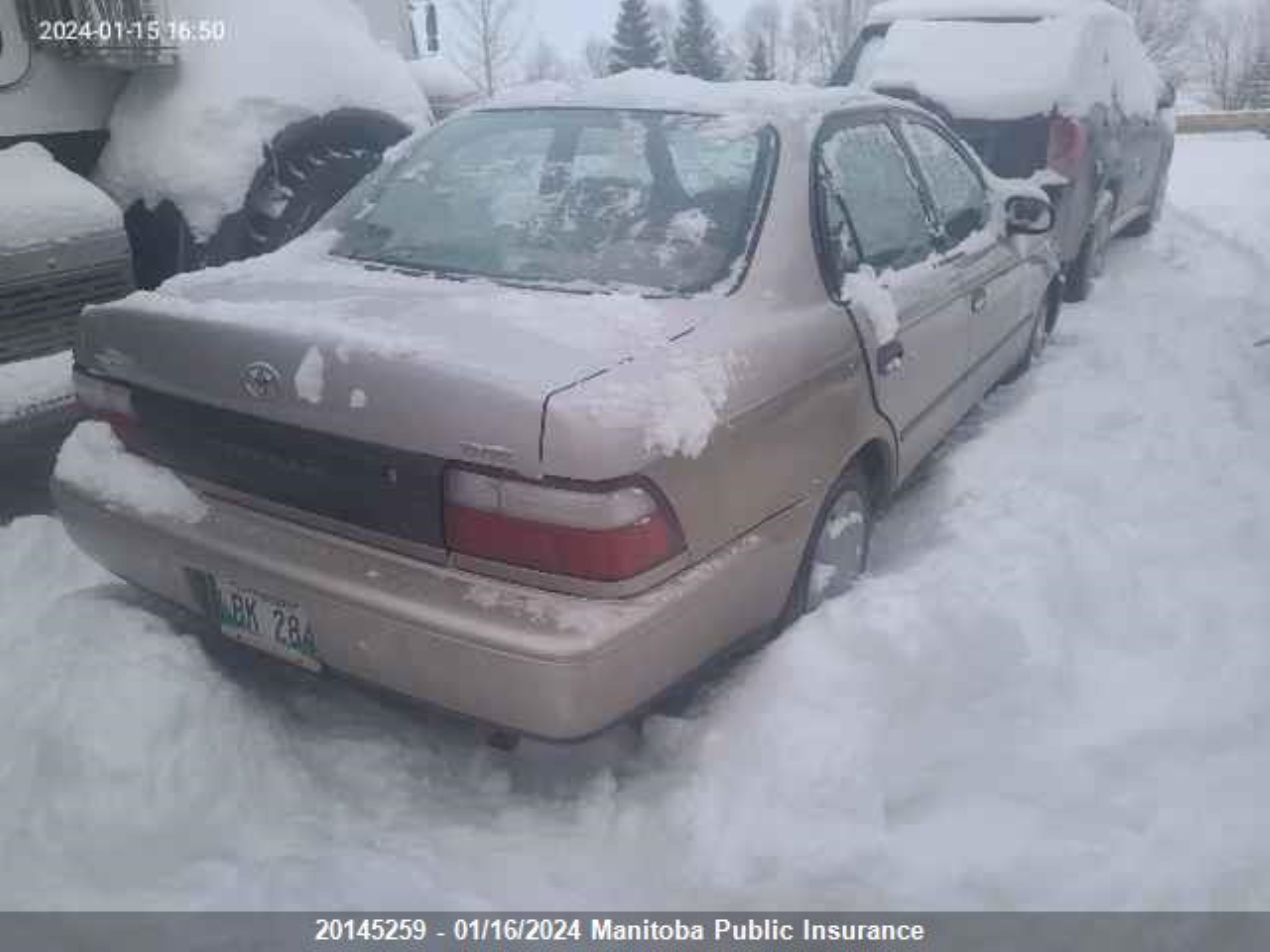 Photo 3 VIN: 2T1BA03E4VC167116 - TOYOTA COROLLA 