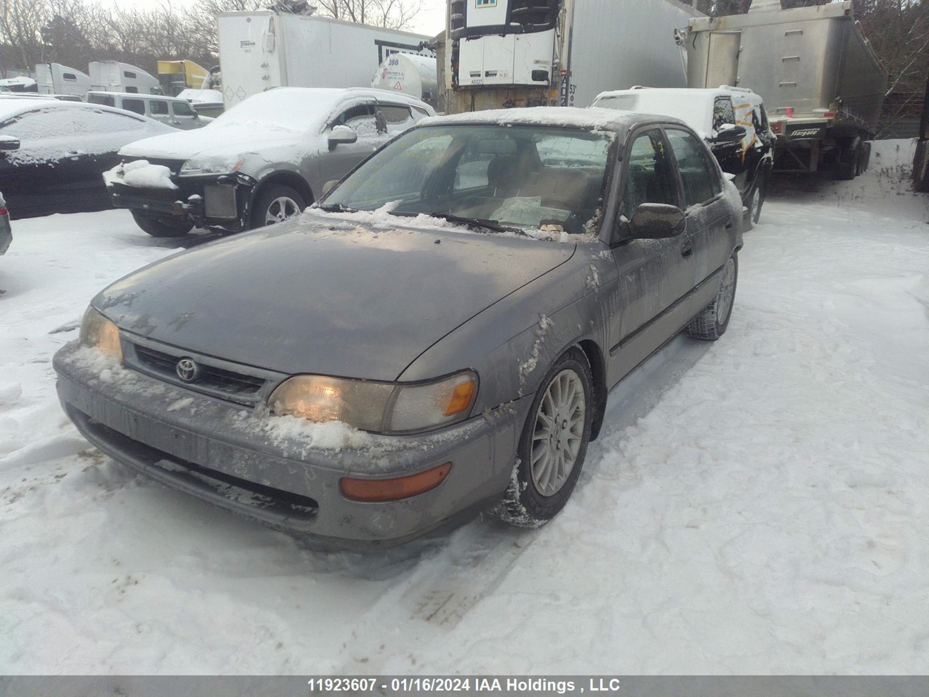 Photo 1 VIN: 2T1BB02E1VC206307 - TOYOTA COROLLA 